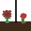 Different Rose To Other Rose