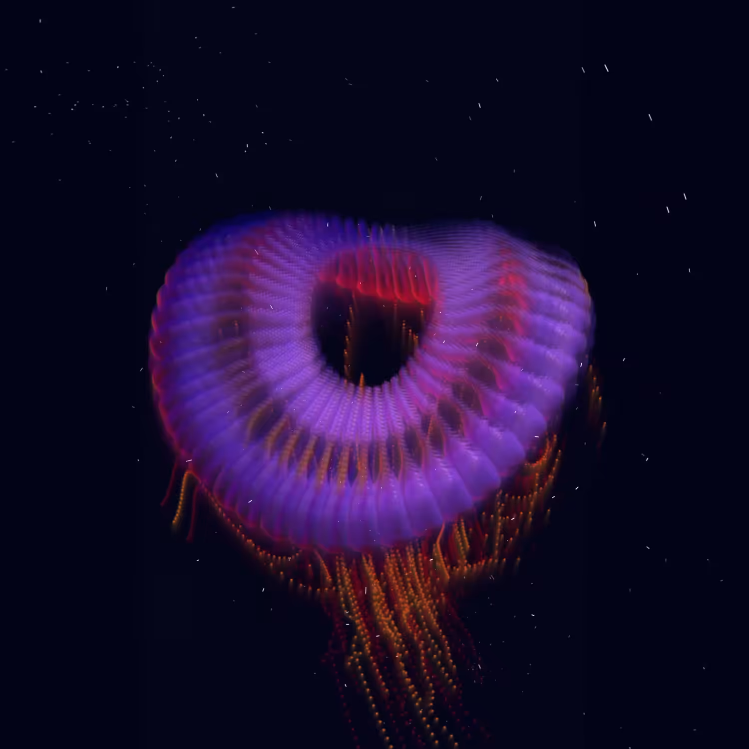 Jellyfish 108 (2024)  