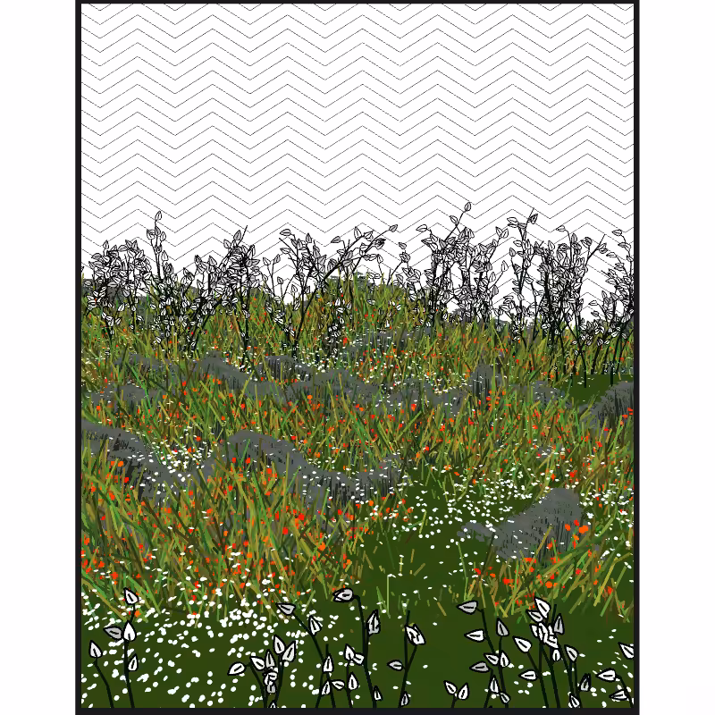 Contours #38