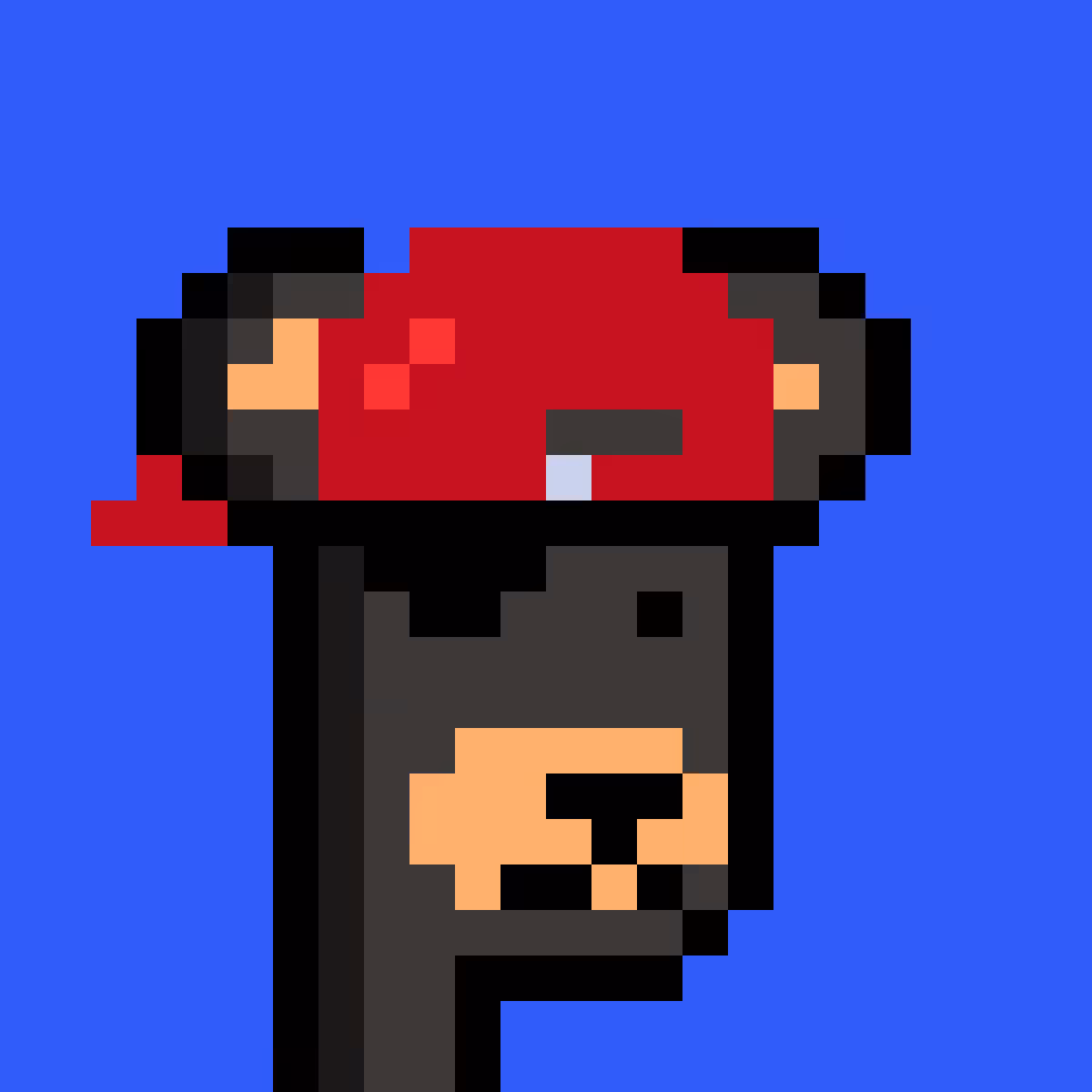 BearPunks #2999
