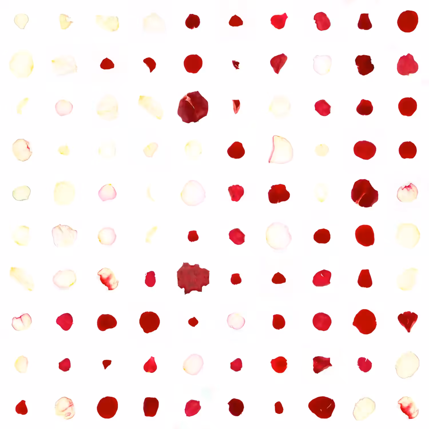 Infinite Petals 10x10#1222