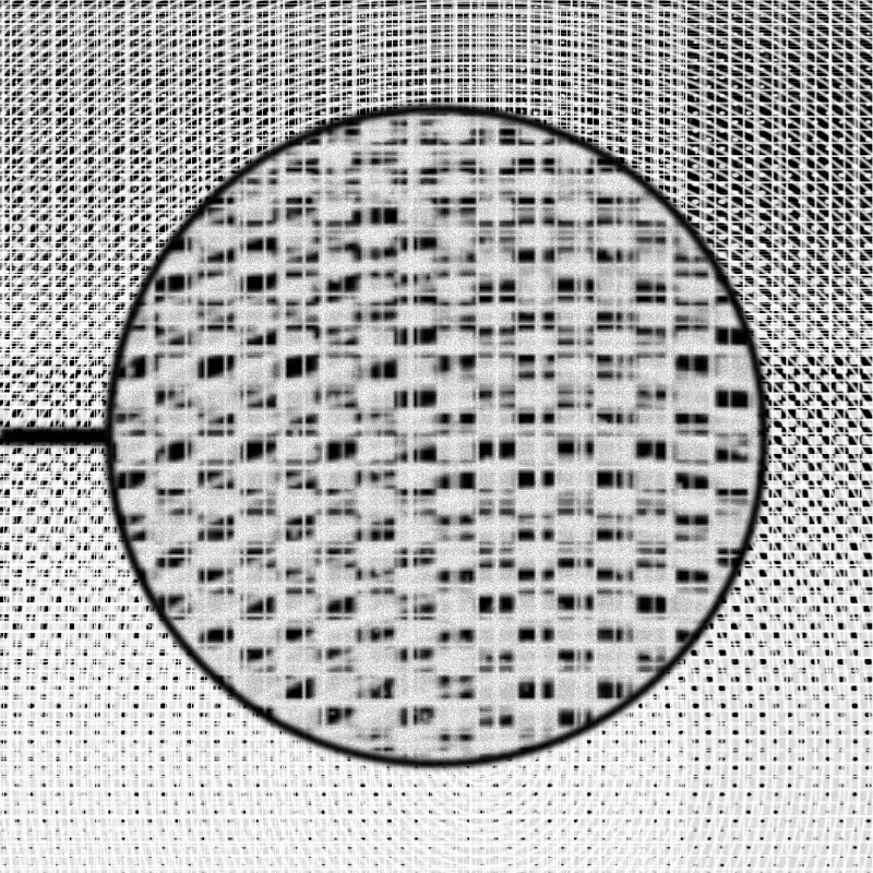 MICROSCOPY #8
