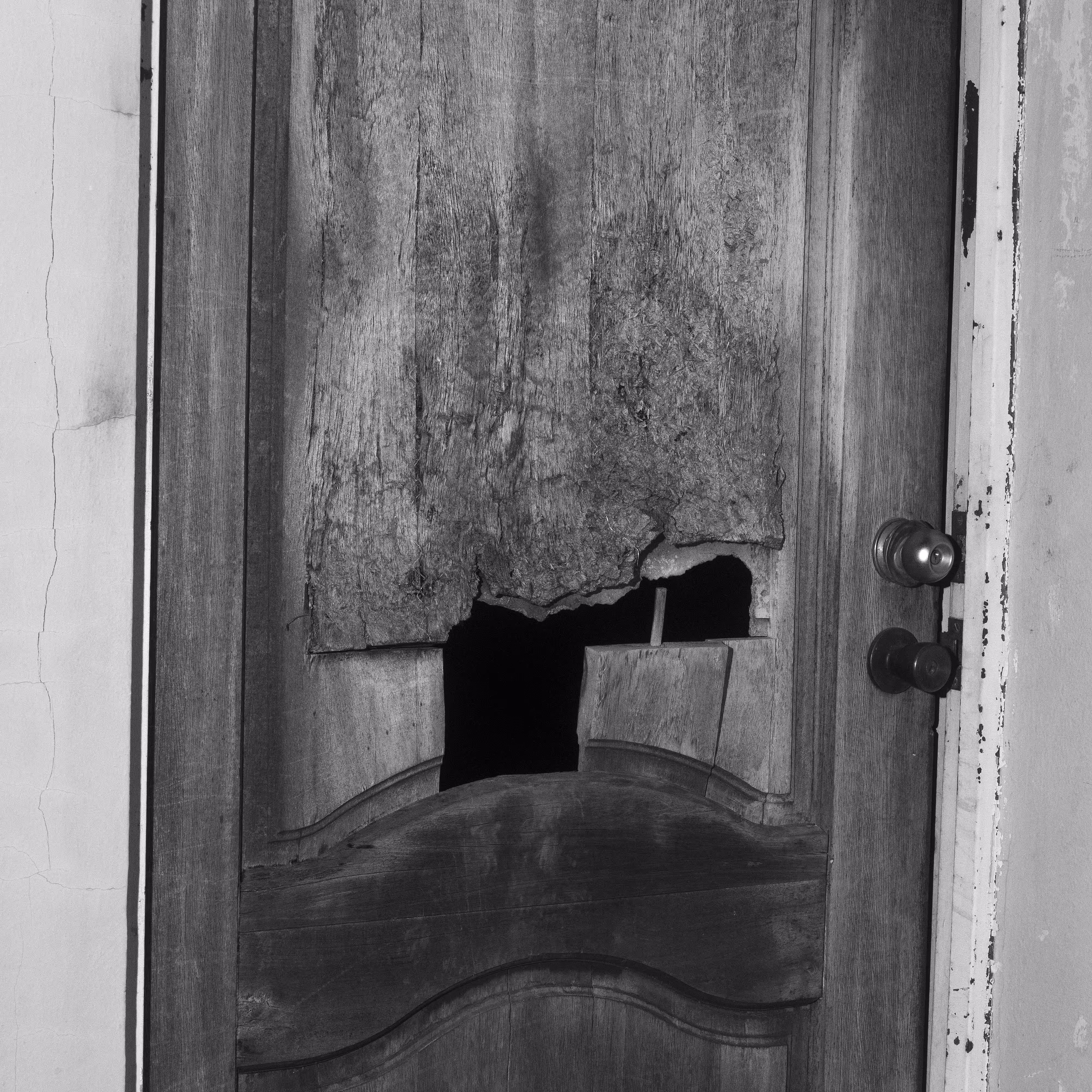 POINT OF ENTRY #10 by Fernando Gallegos