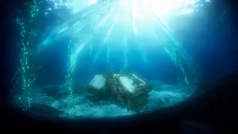 DX01: SINGULARITY 24173
