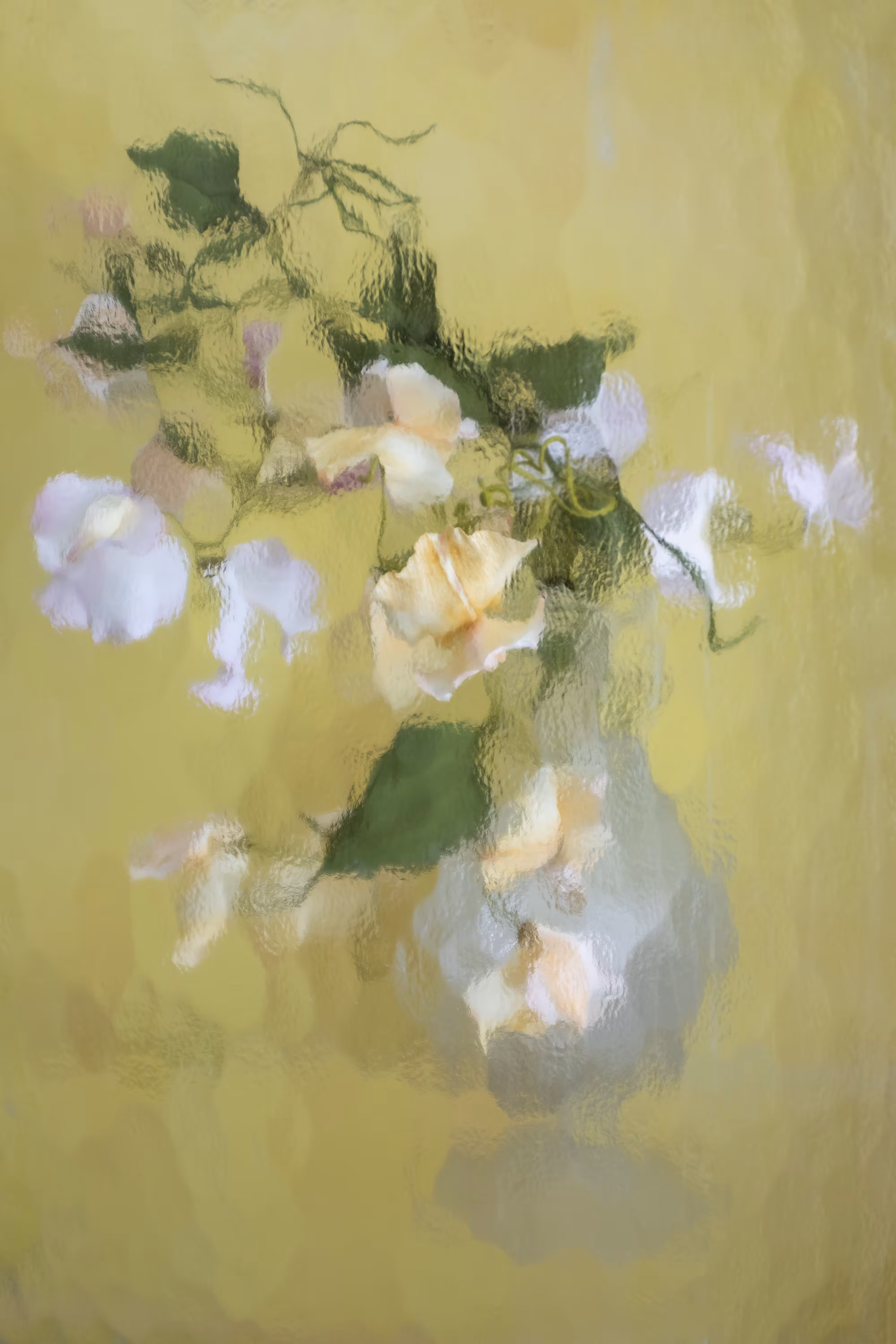 Sweet Peas