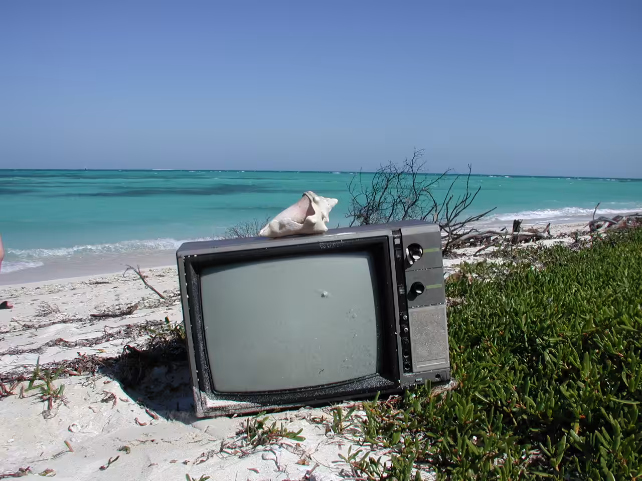 Must See TV