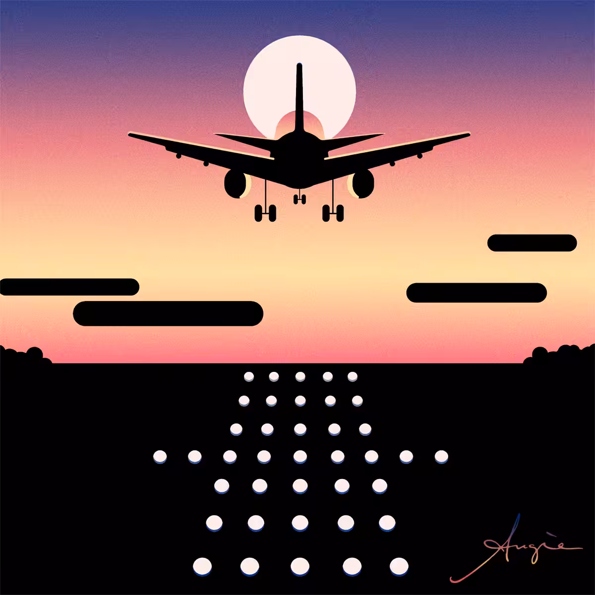 Plane Landing At Sunset