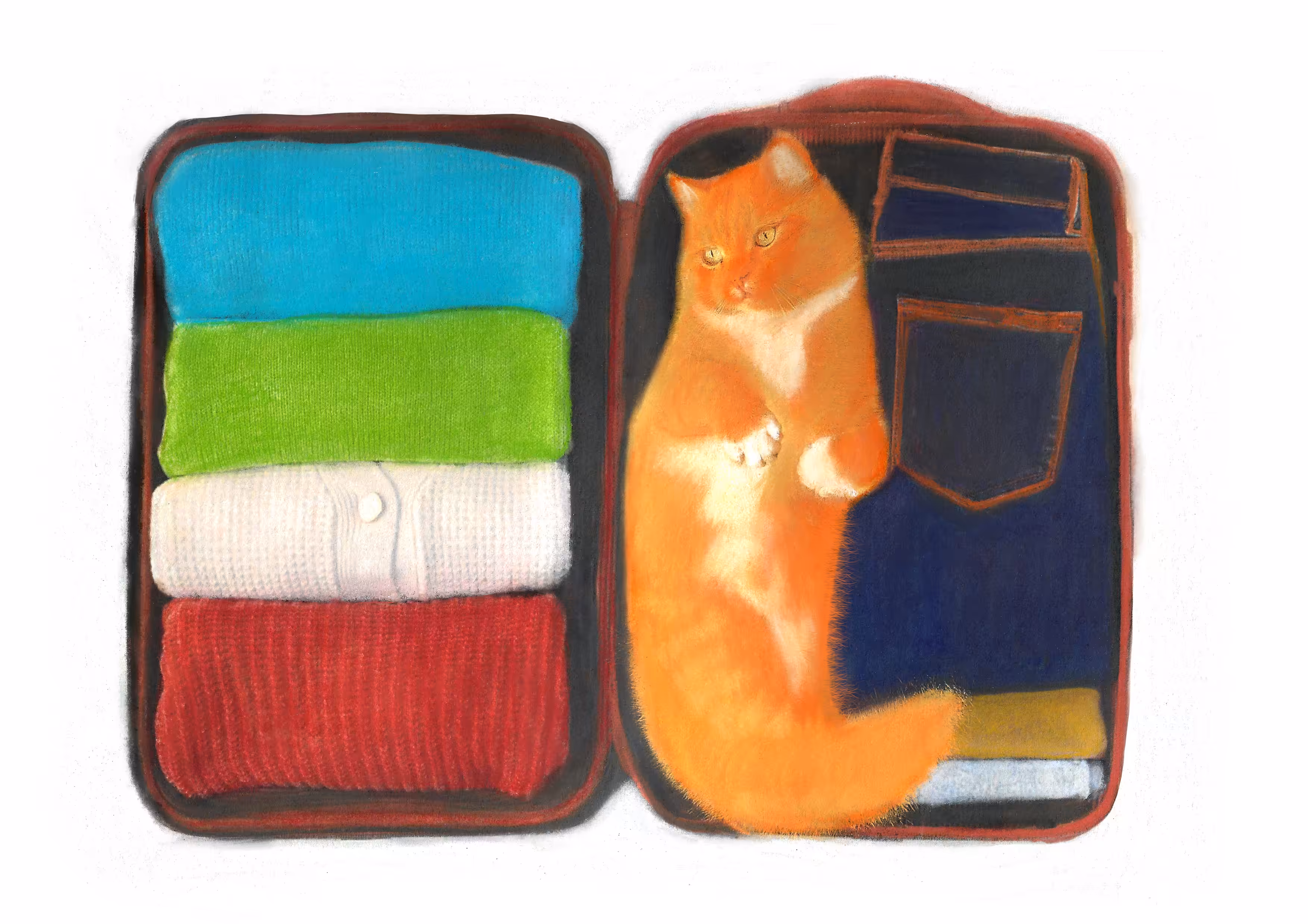 cats&another beautiful pets: Traveler 