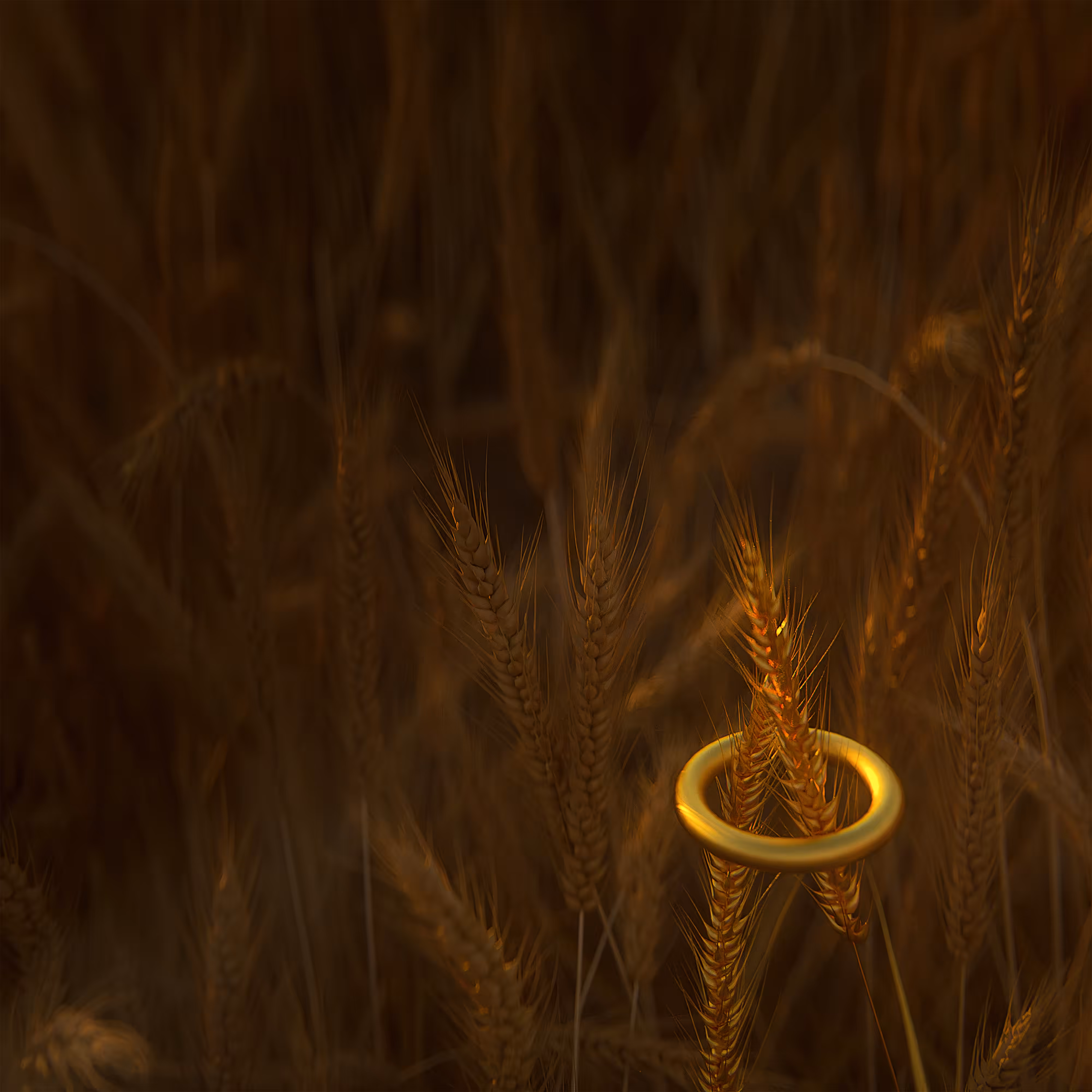 Wheat field