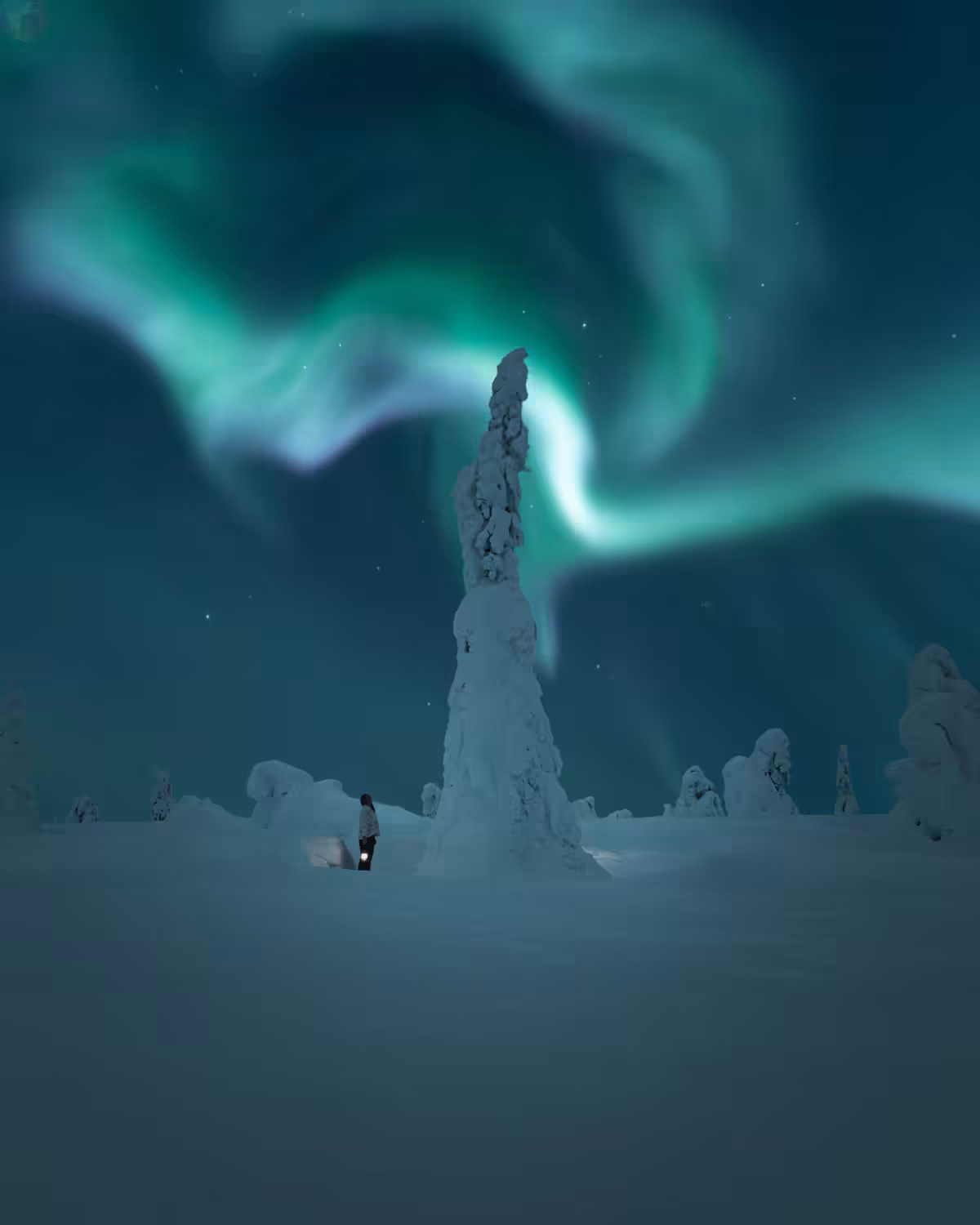 Light in the Dark