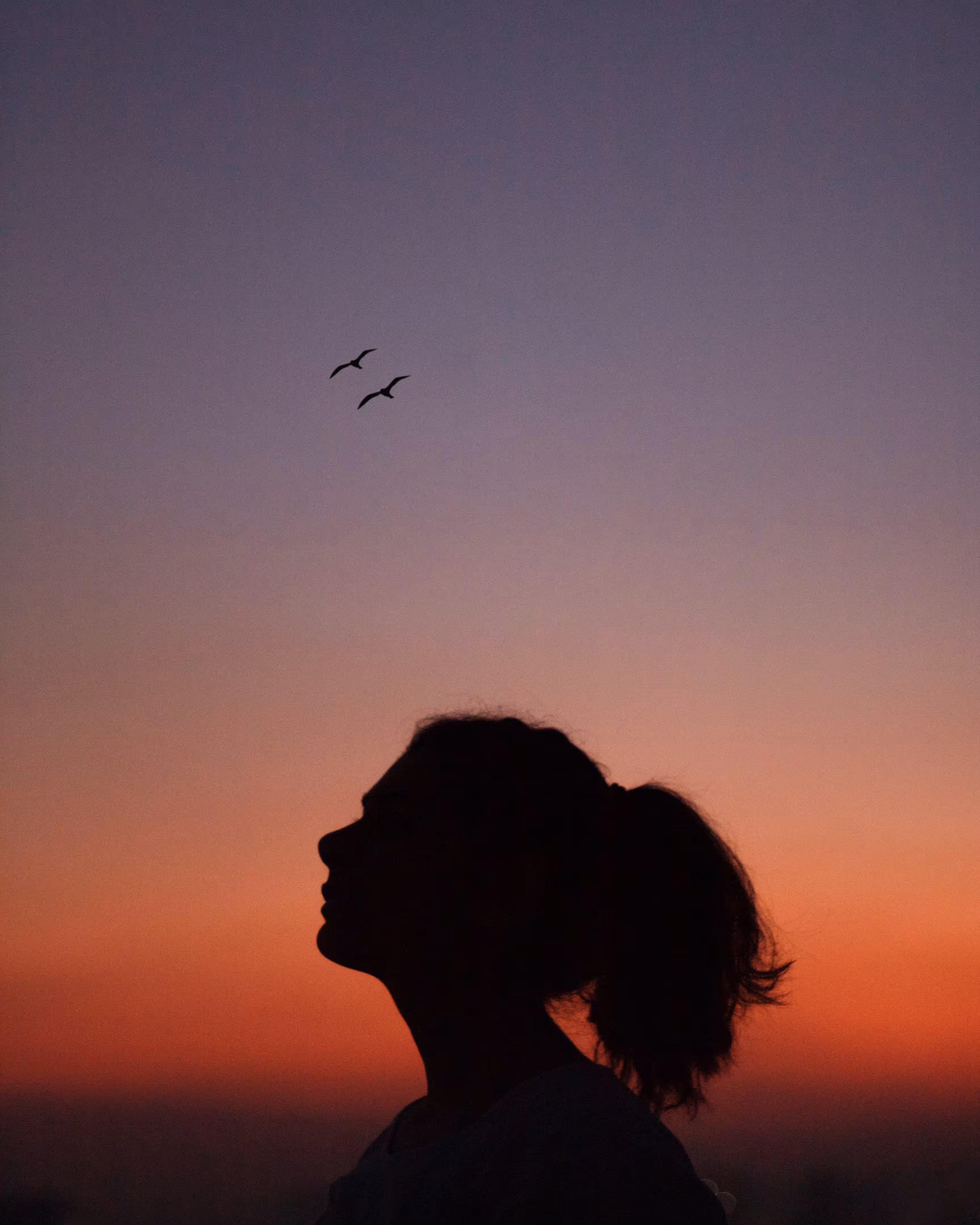 Endless Horizons