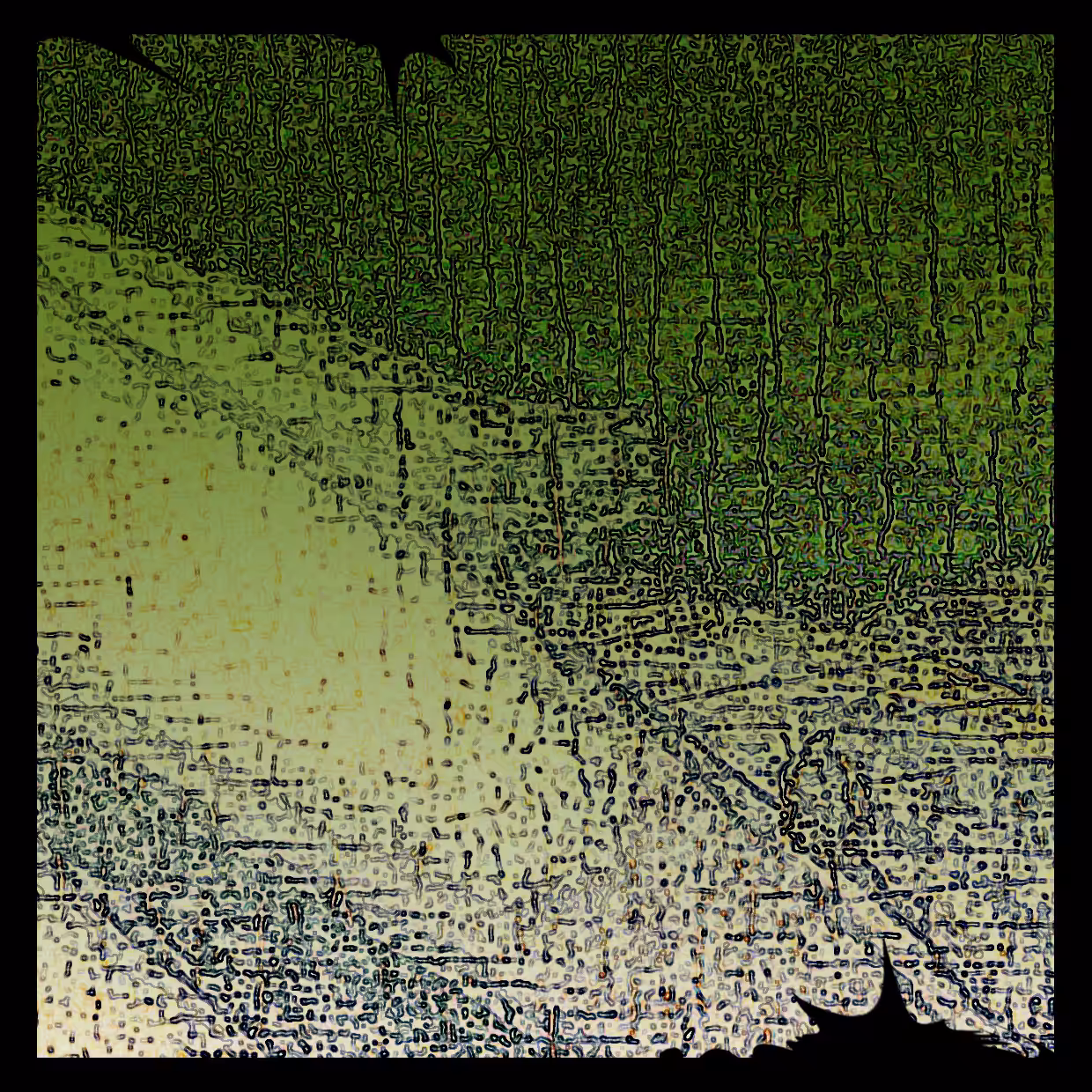 Cell 14