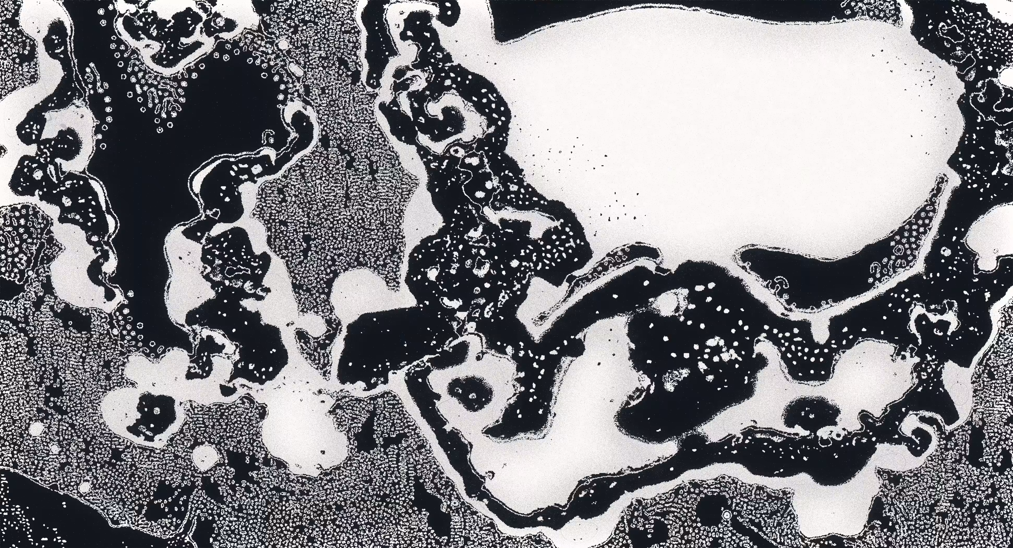 Water Studies #15