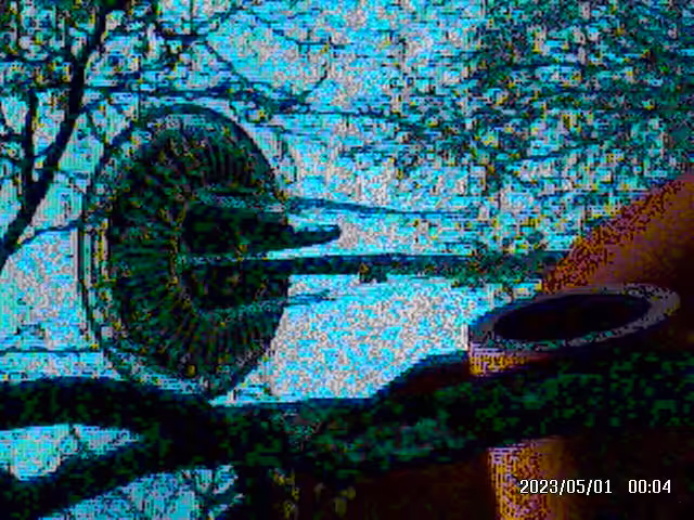 Seattle Space Needle as seen from the Olympic Iliad