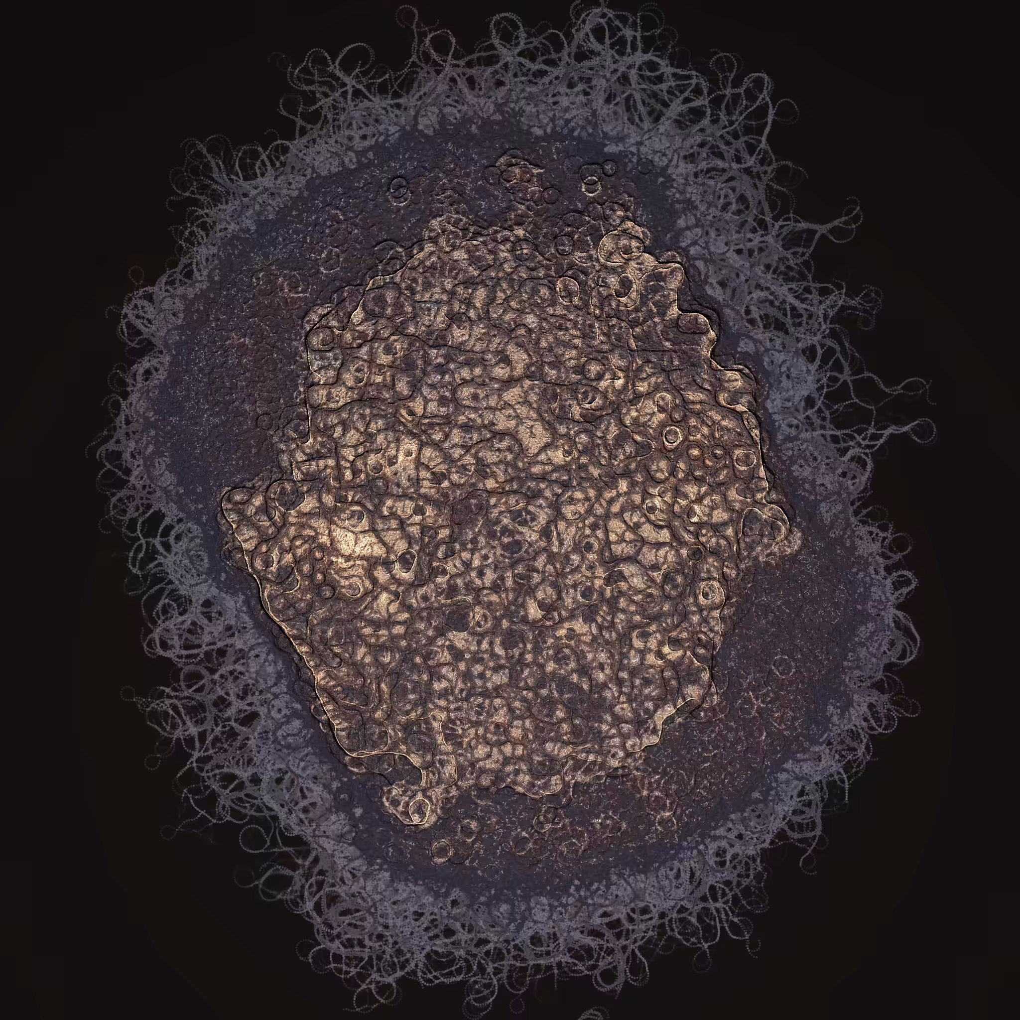 coalescence #156