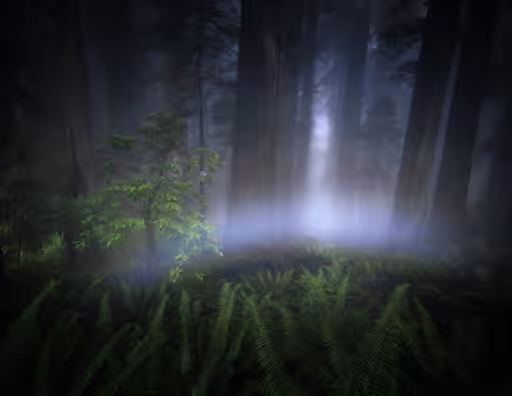 #22 - "Fog Bow"