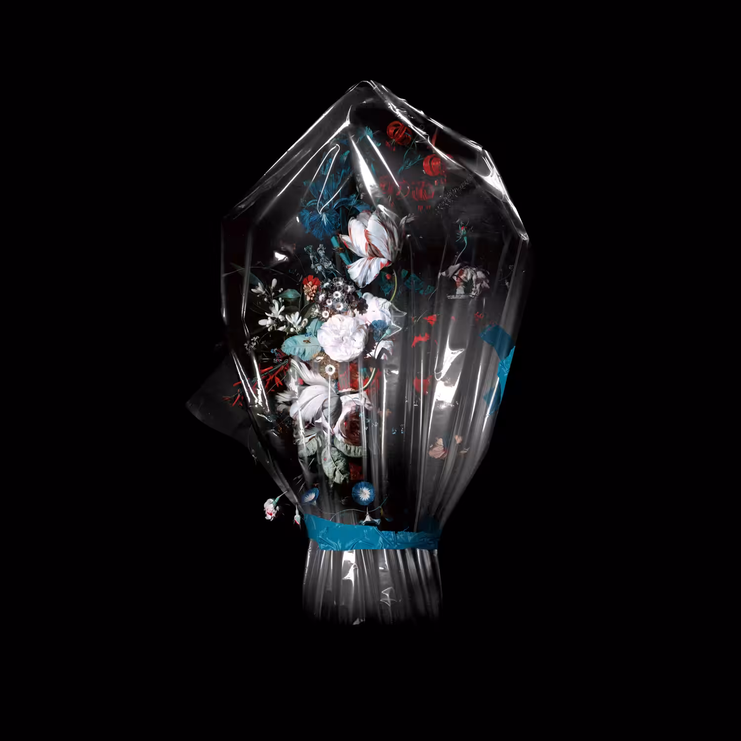 WRAP ME UP IN PLASTIC AND MAKE ME SHINE