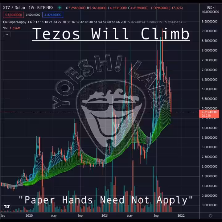 Tezos Will Climb - Teztune