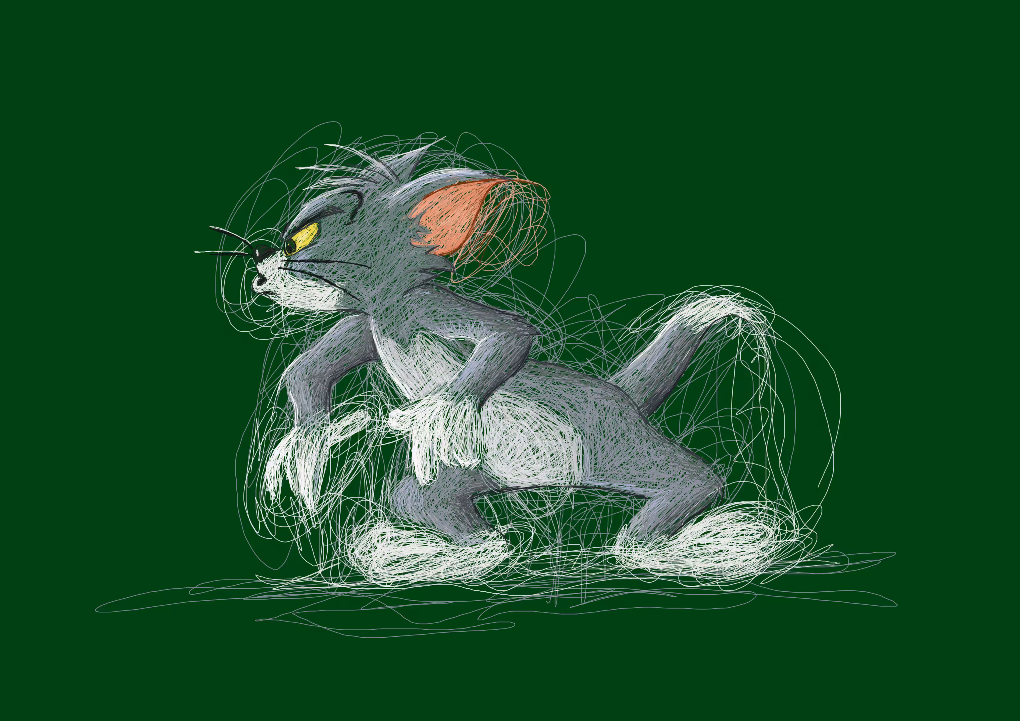 Tom Cat