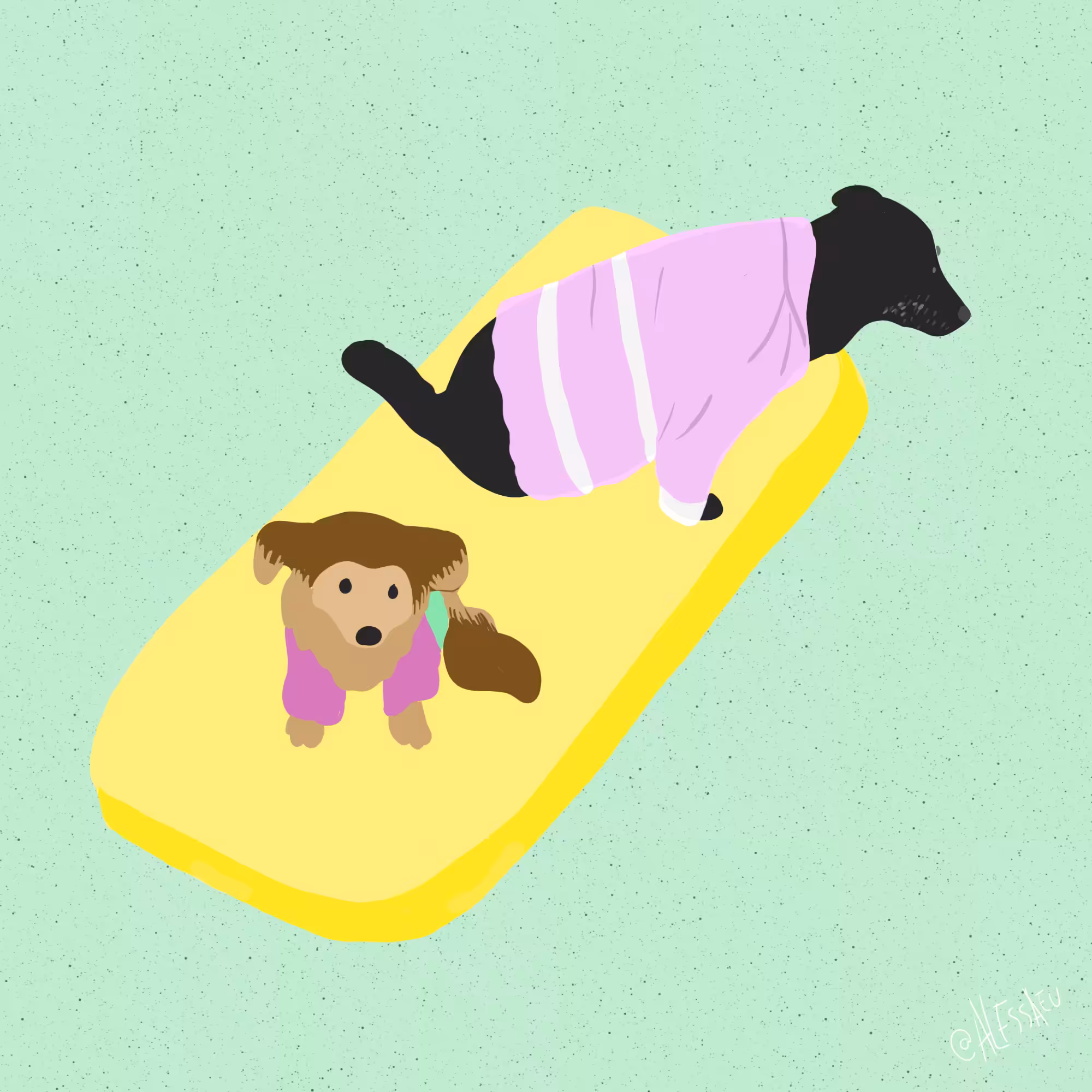 dogs