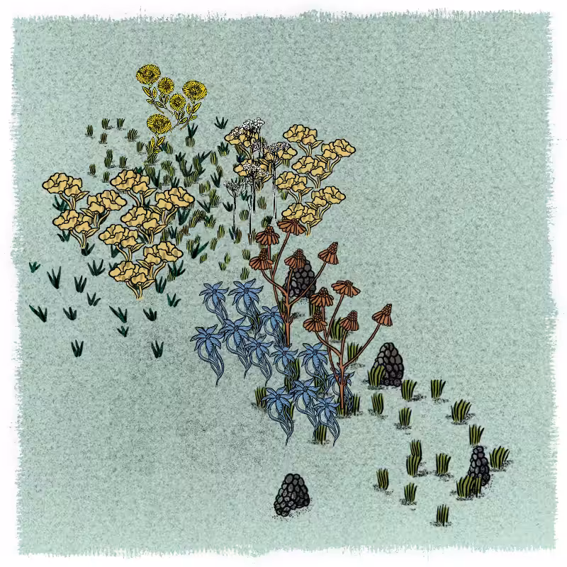Gardens  #162