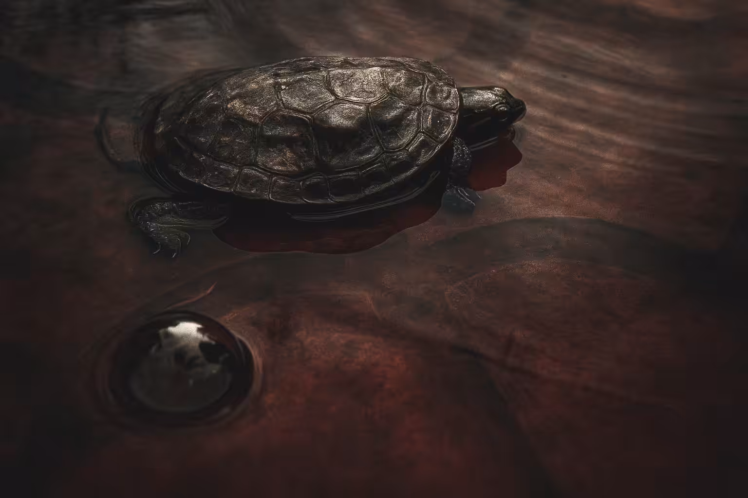 There Were Blood