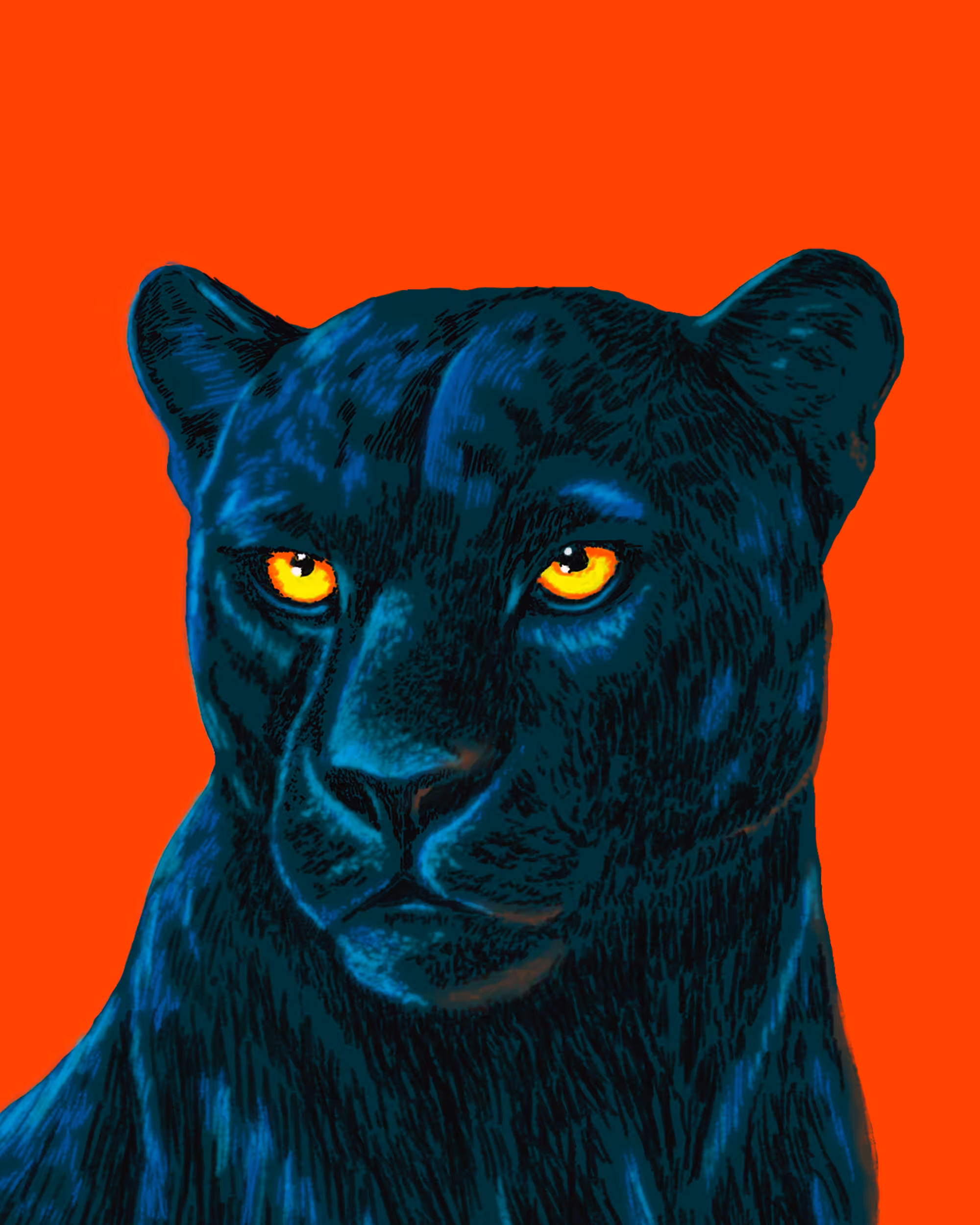 BLACK PUMA