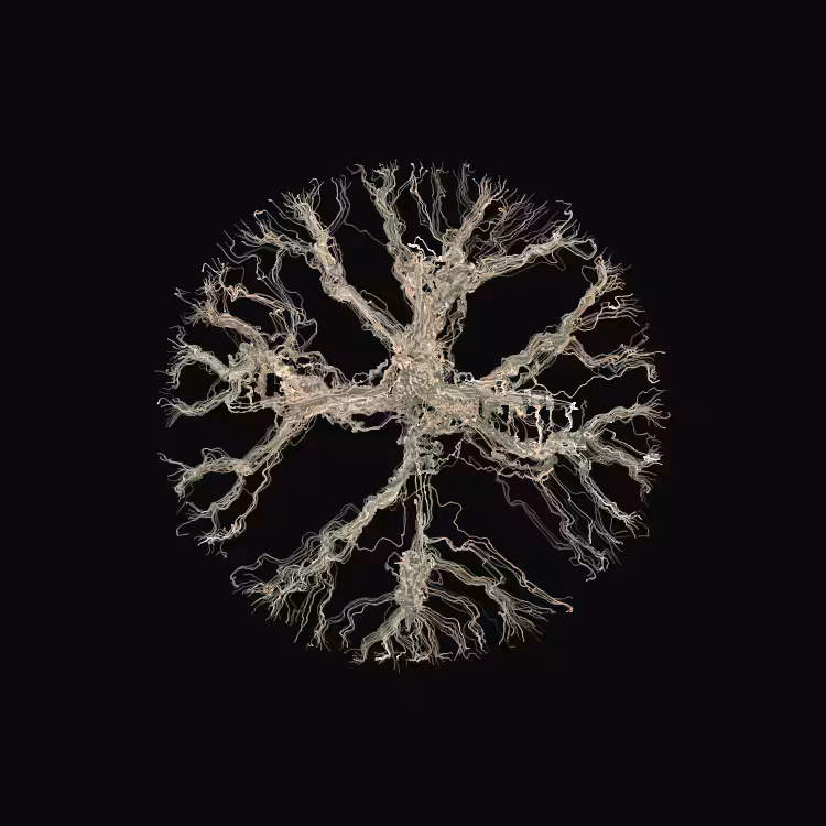 Ginseng #112