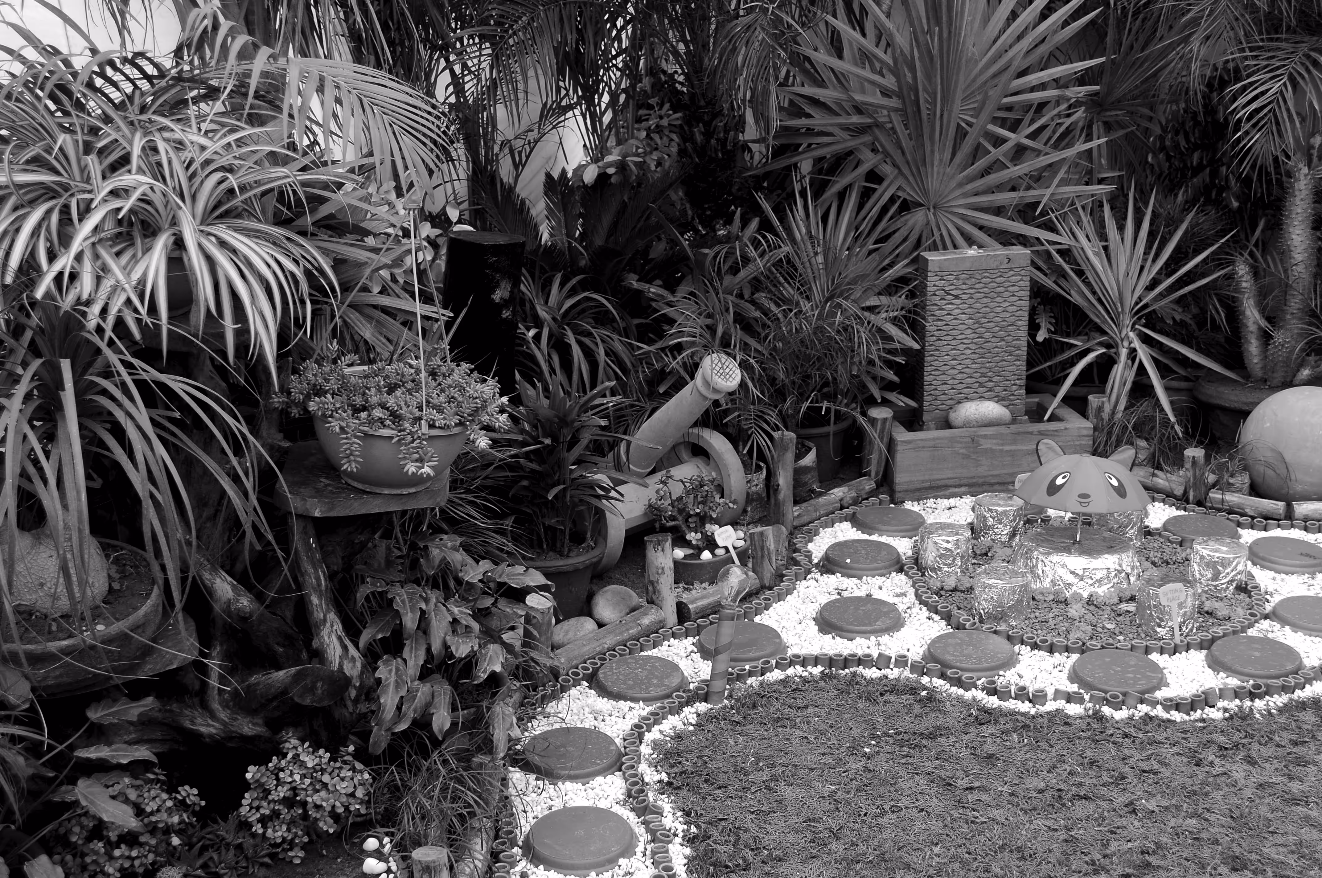 Little garden