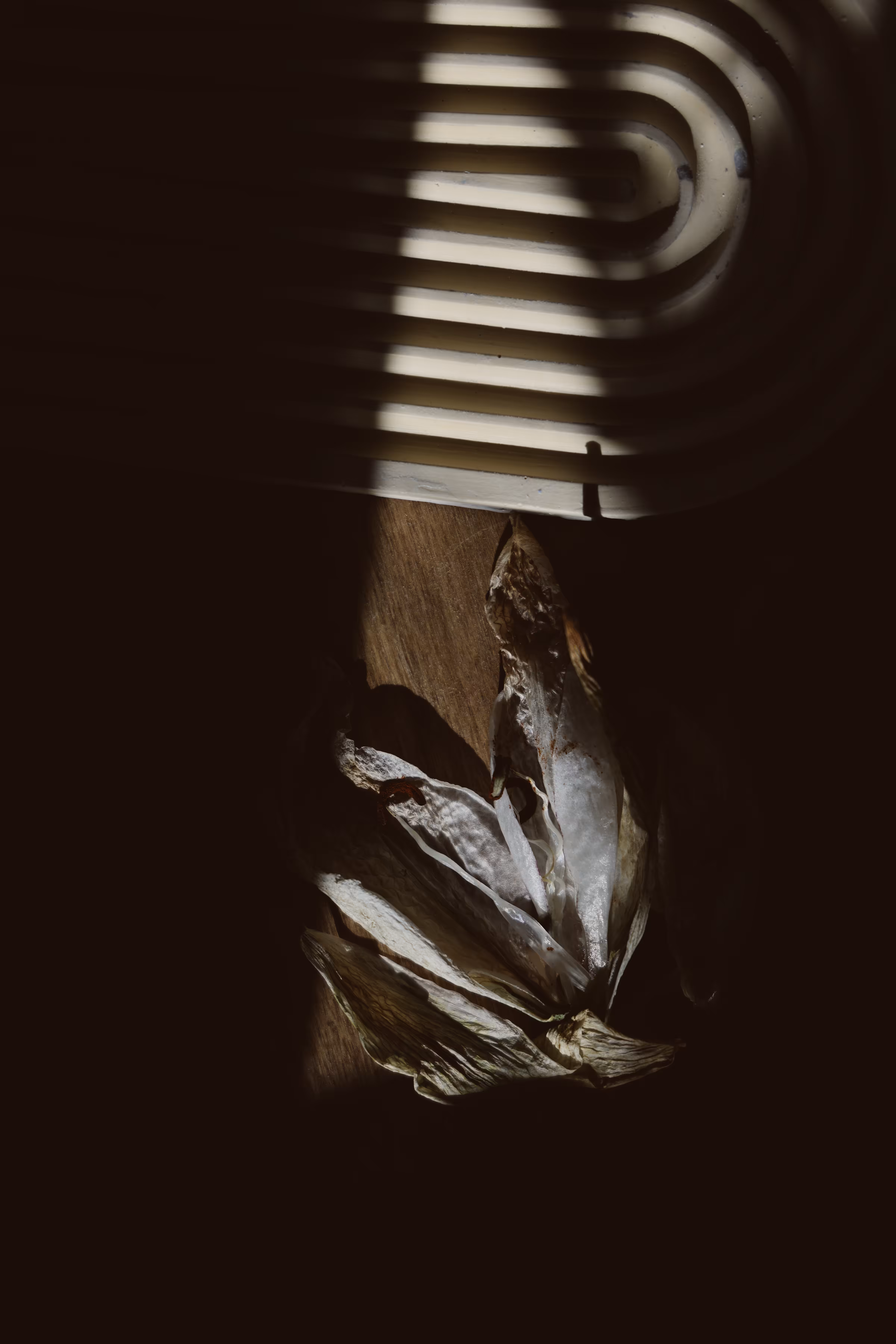 _marks