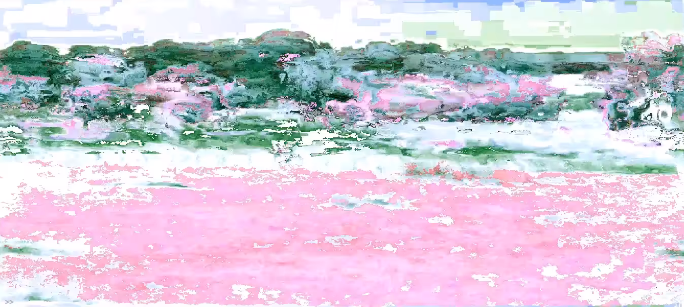Free-to-air