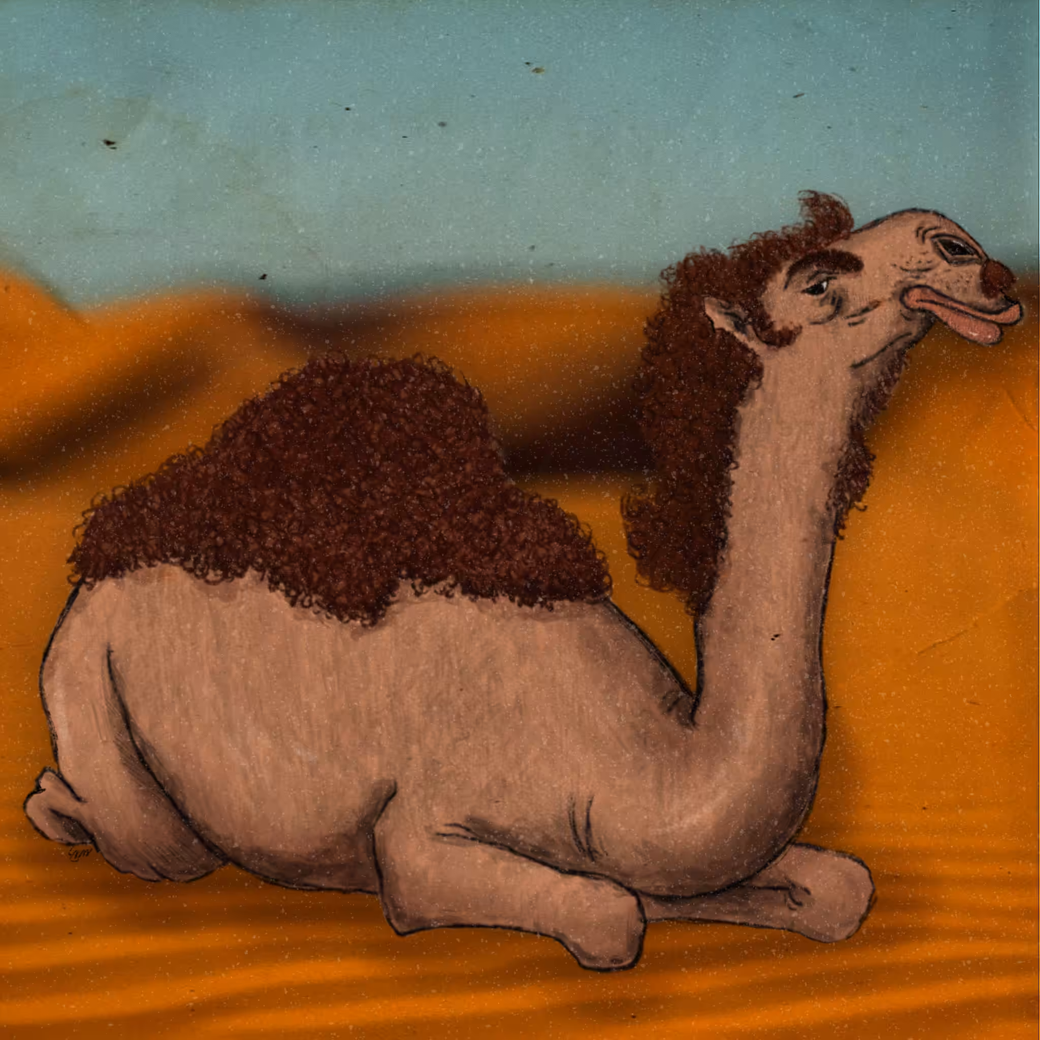 The Camel's Grudge