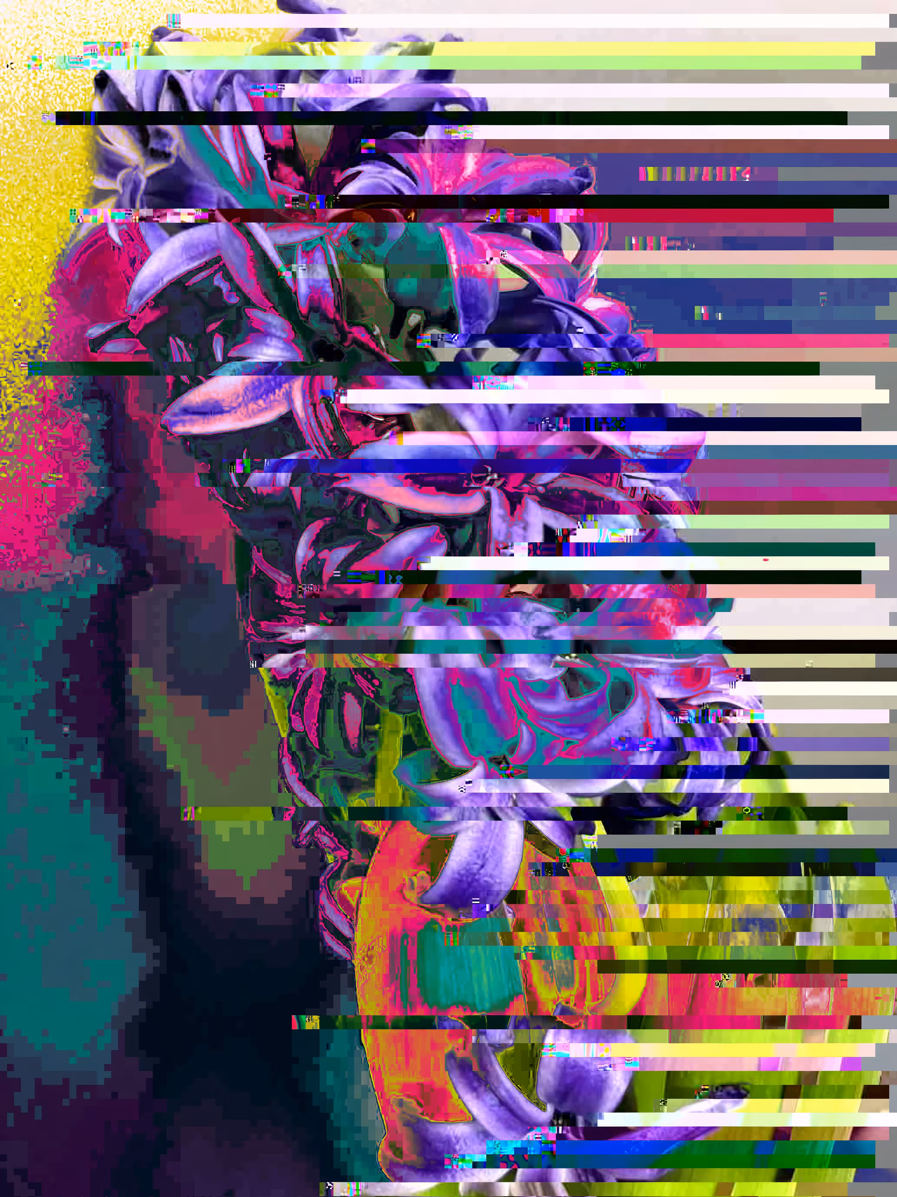 P1x3L P3t4L