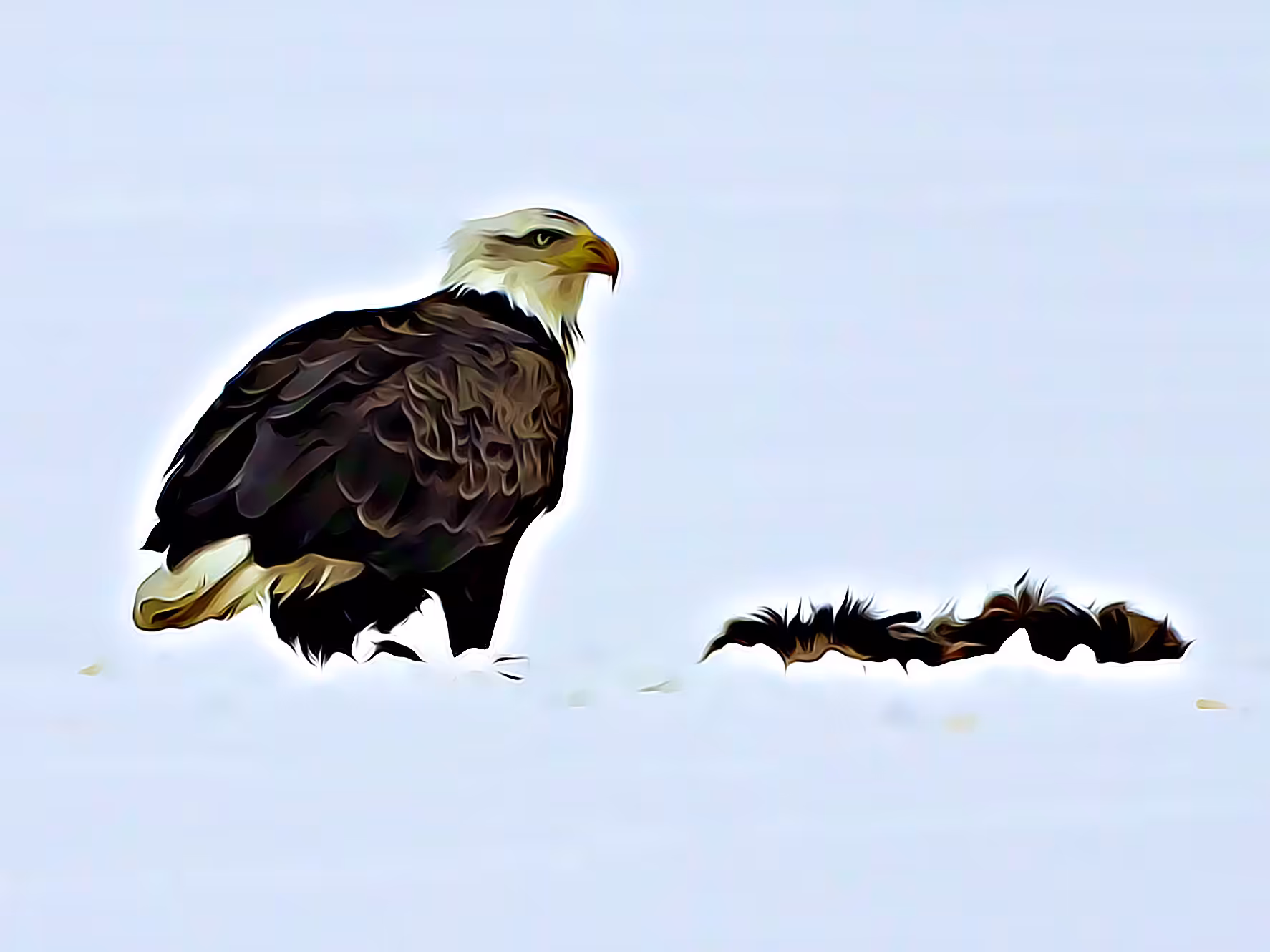 Fierce Eagle