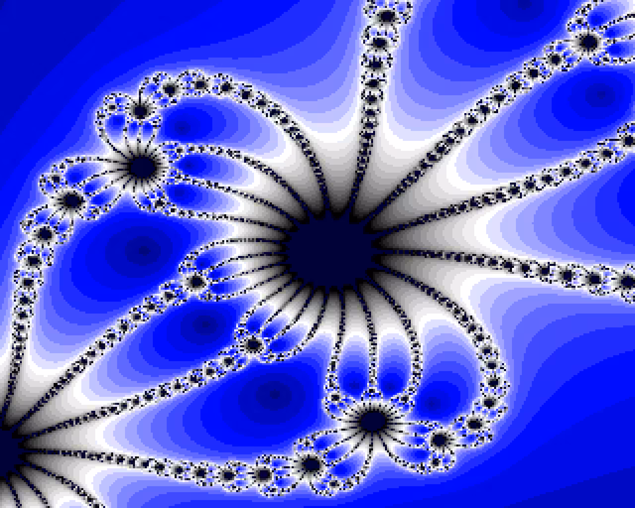 Newton-Raphson Fractal