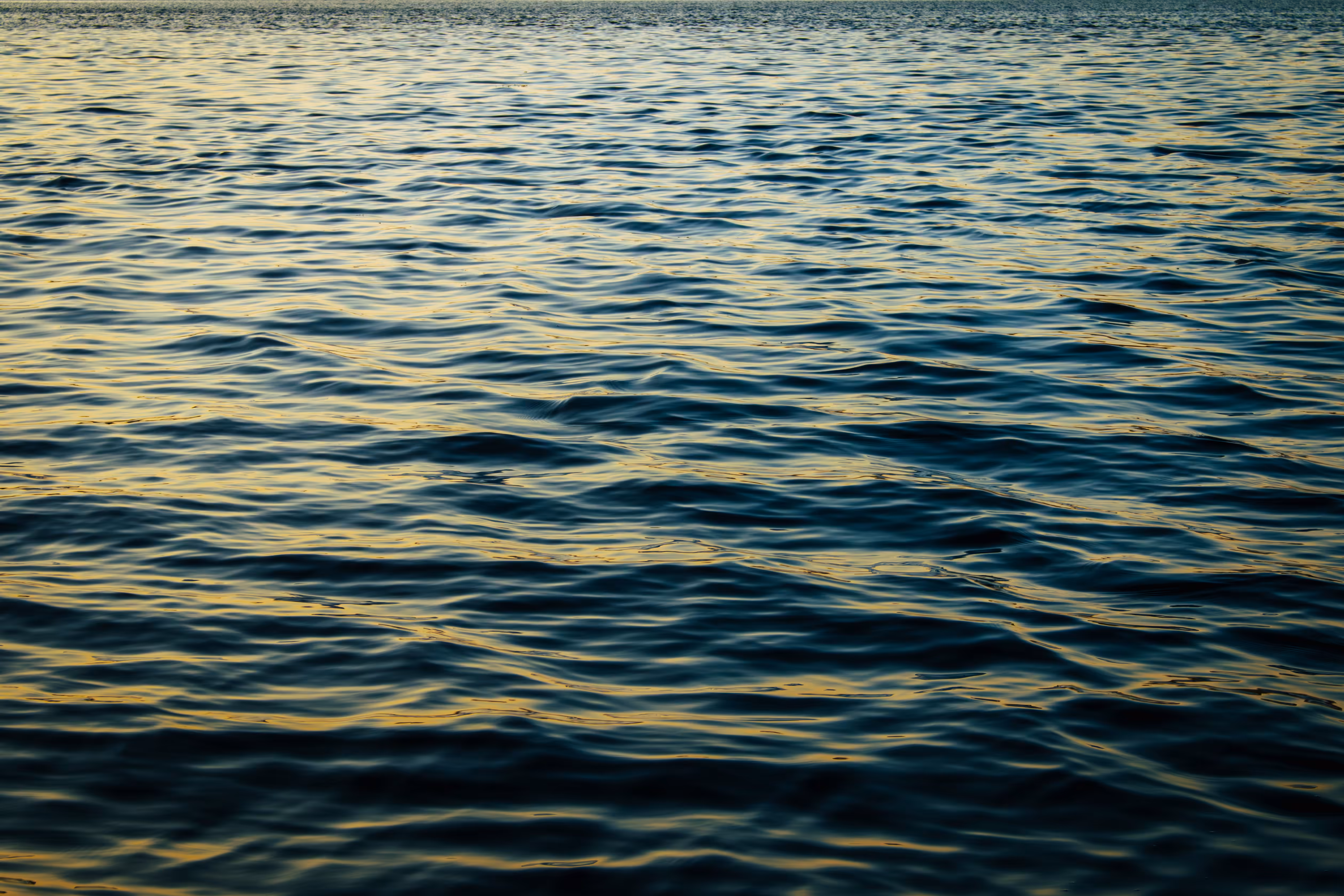 Rhythm of the sea