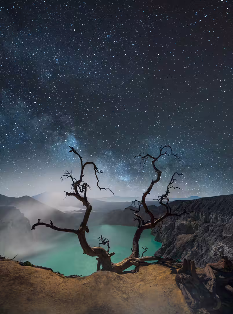Symphony of Stars