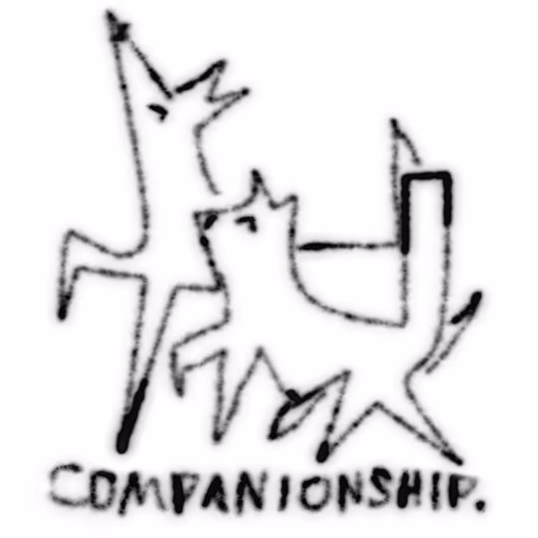 companionship