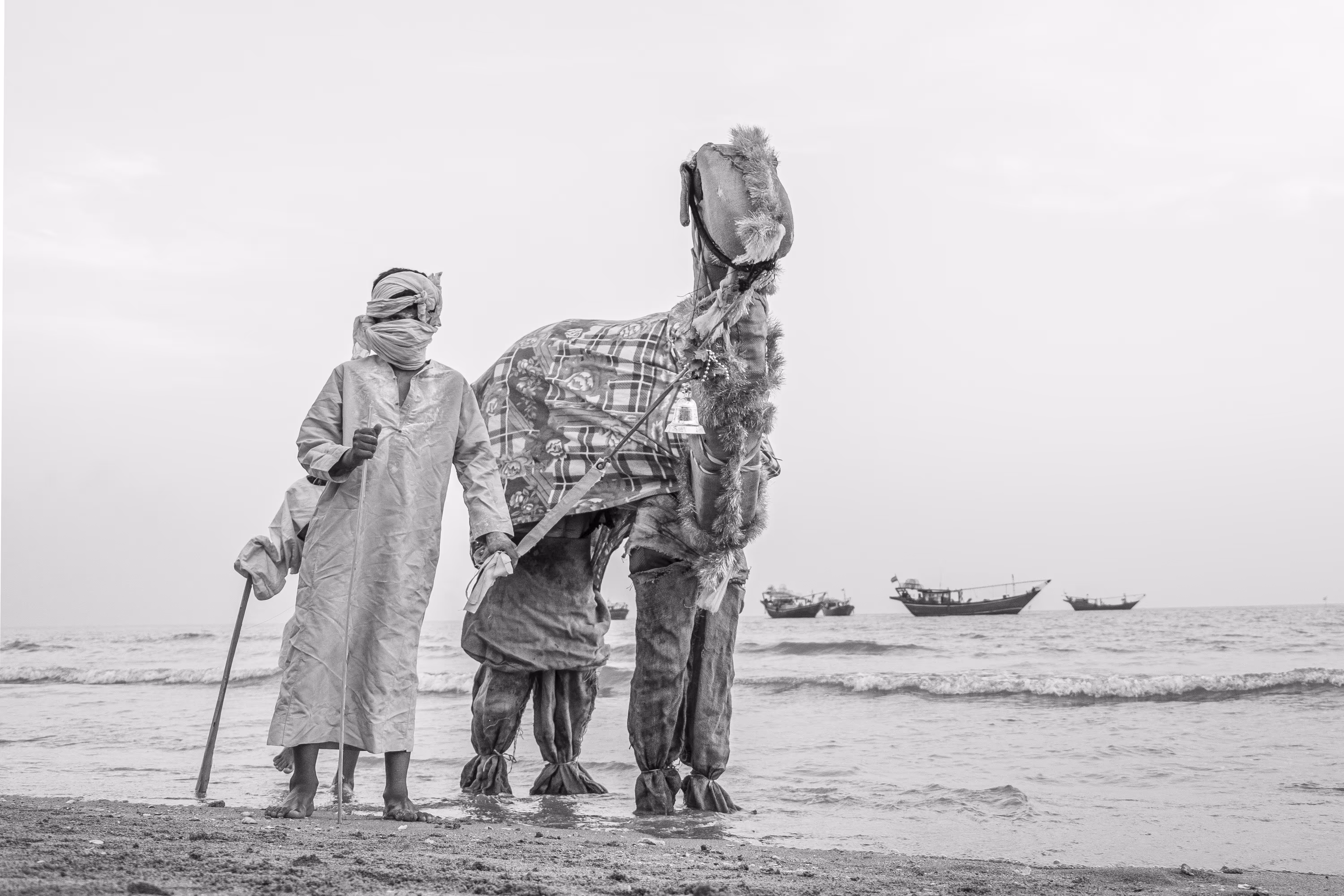 my photography: camel shepherd