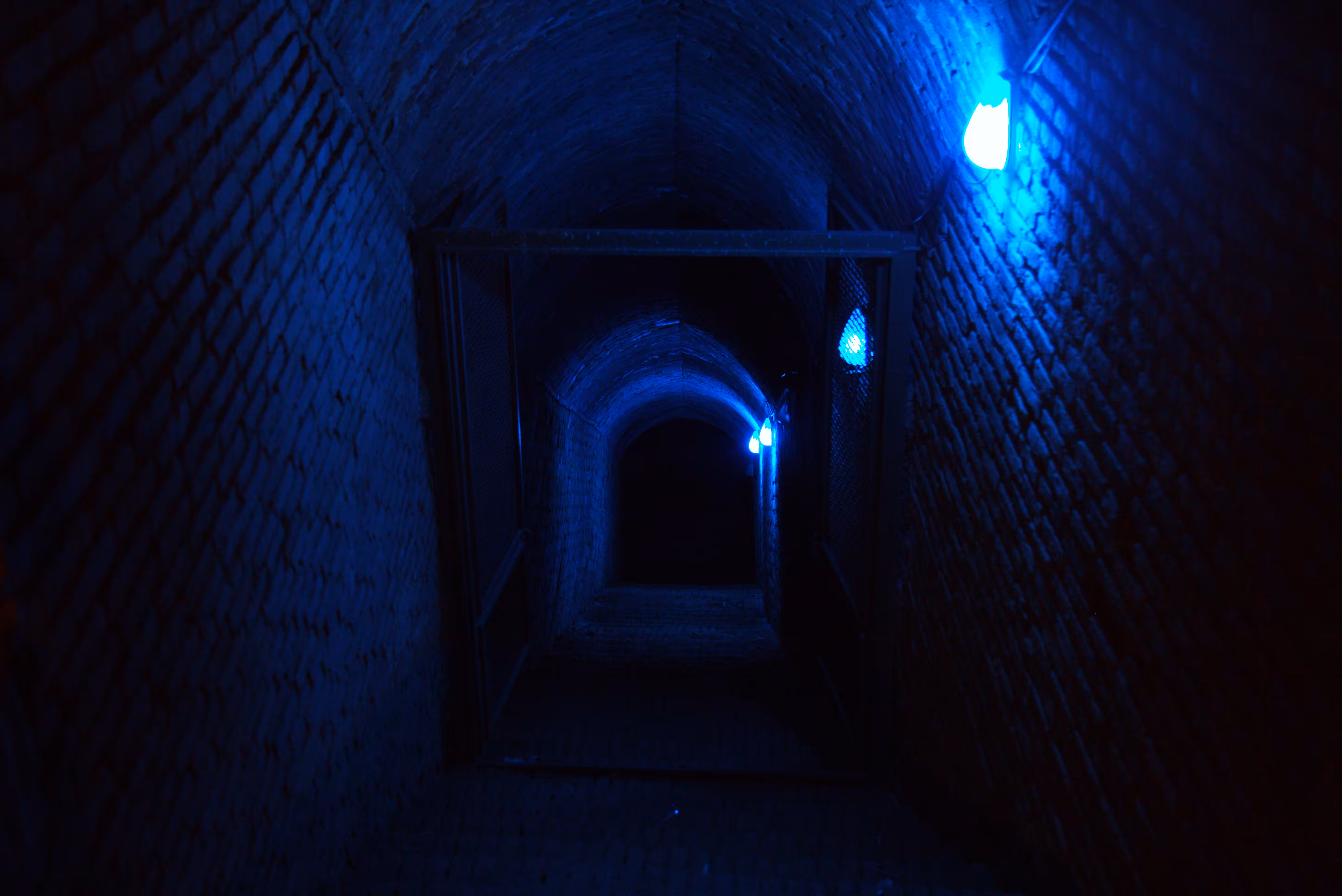 COBALT VISION
