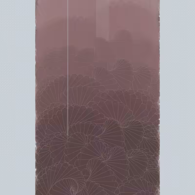 Braids/burdens #49