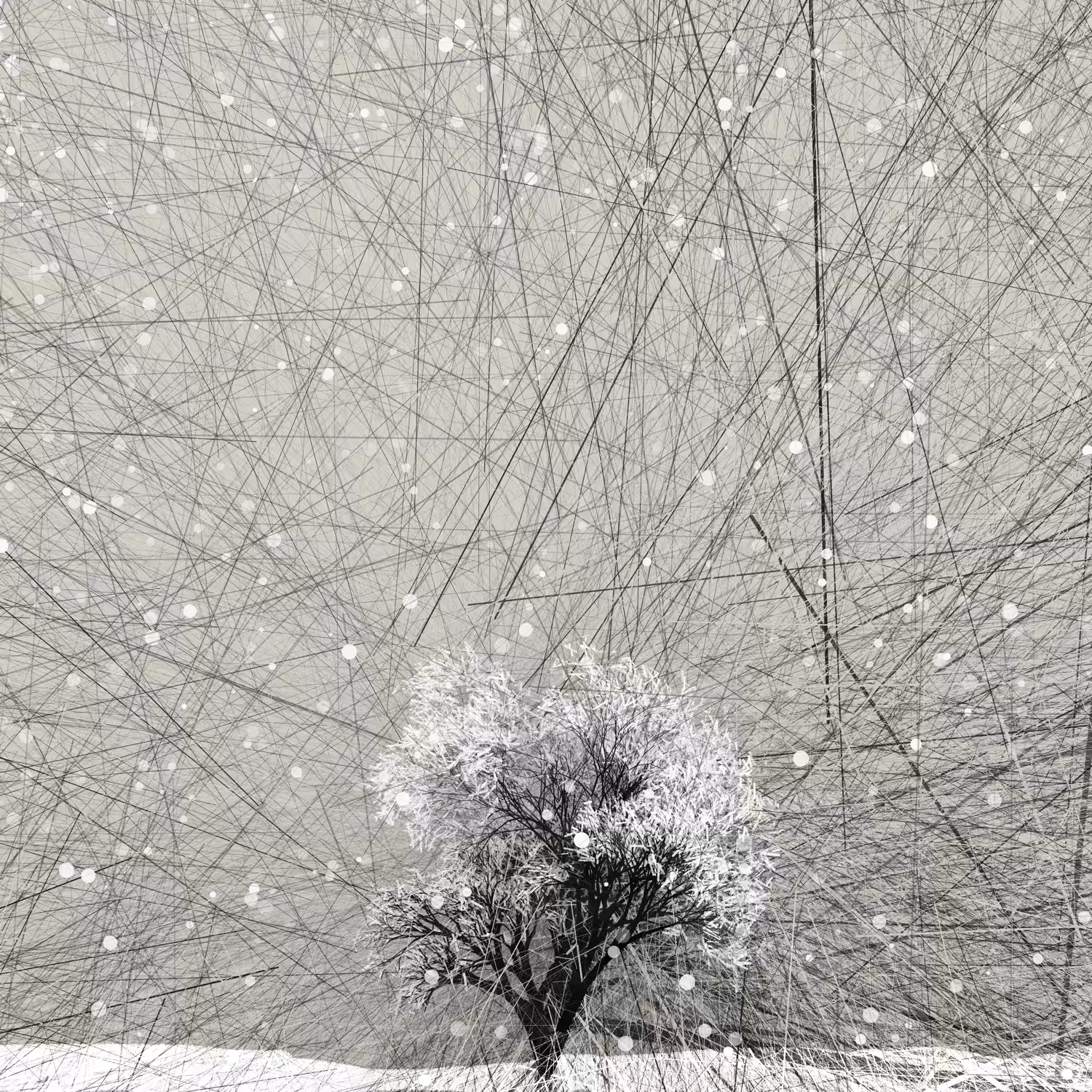 Rodeo posts: First nightly snowfall of the New Year