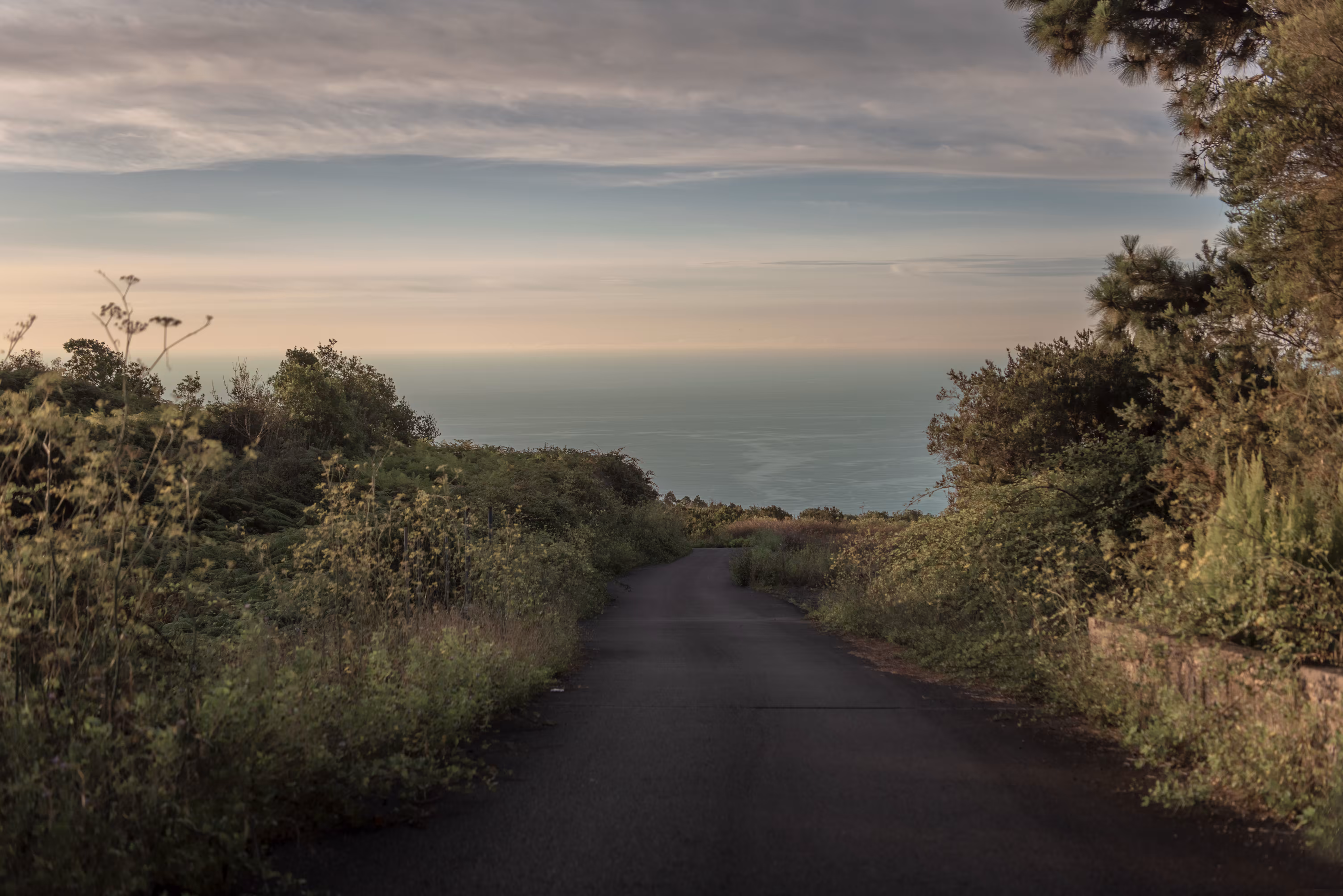 All Roads Lead to the Ocean