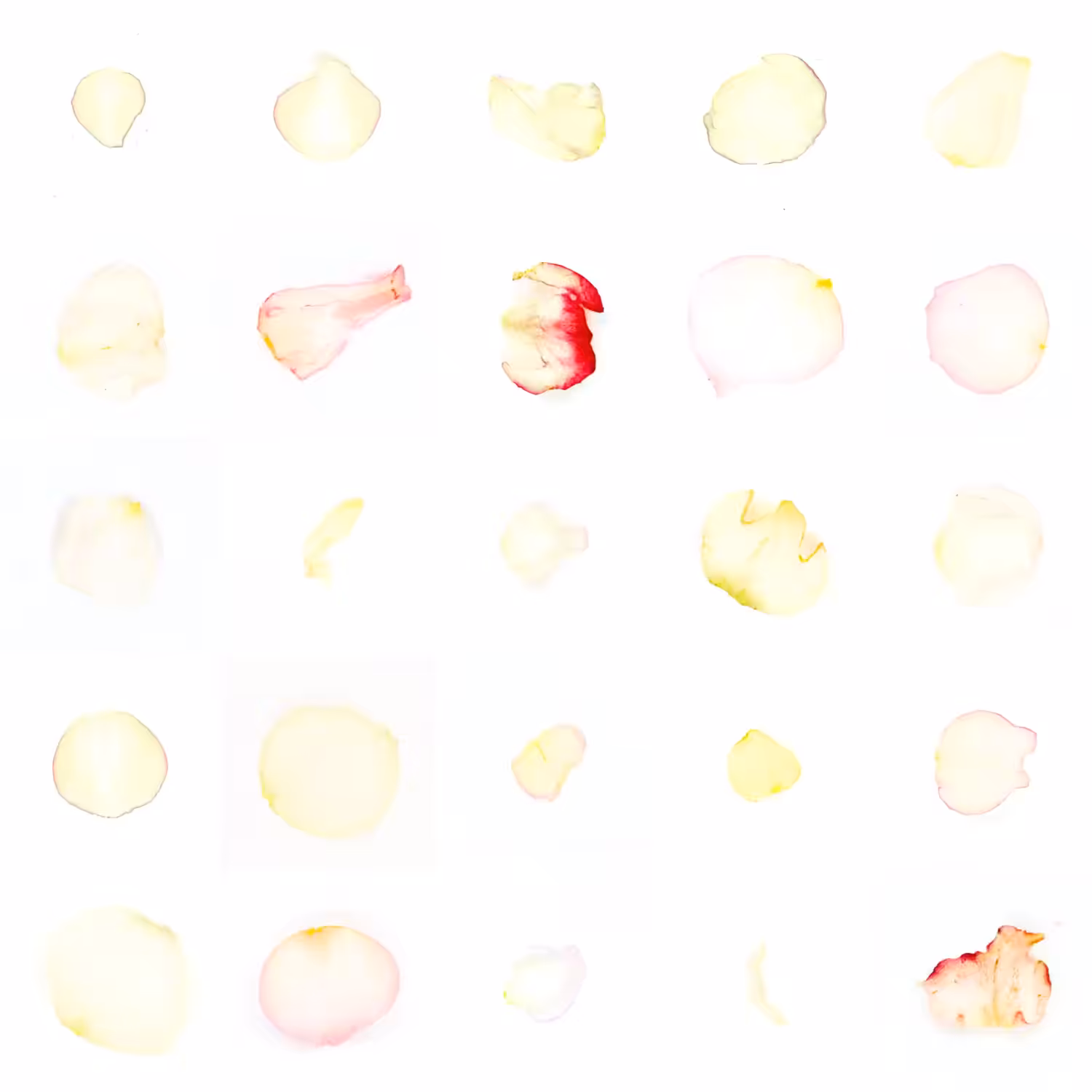 Infinite Petals 5x5#20095