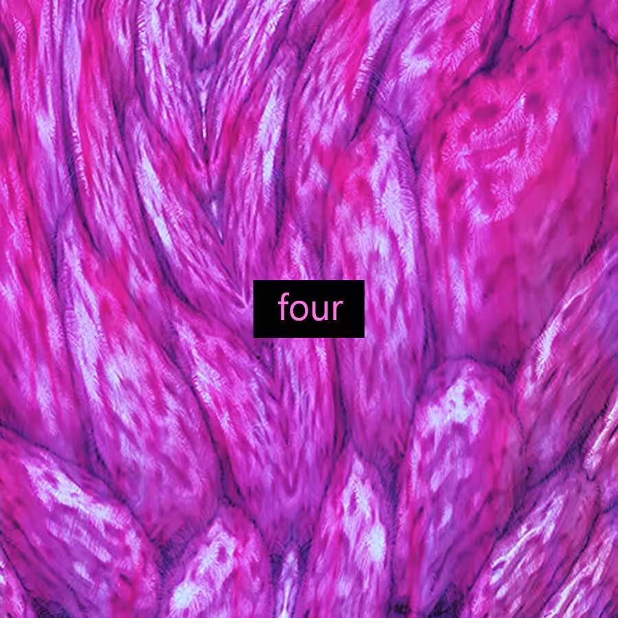 capxul 1.4 xxx instrumental pt 4