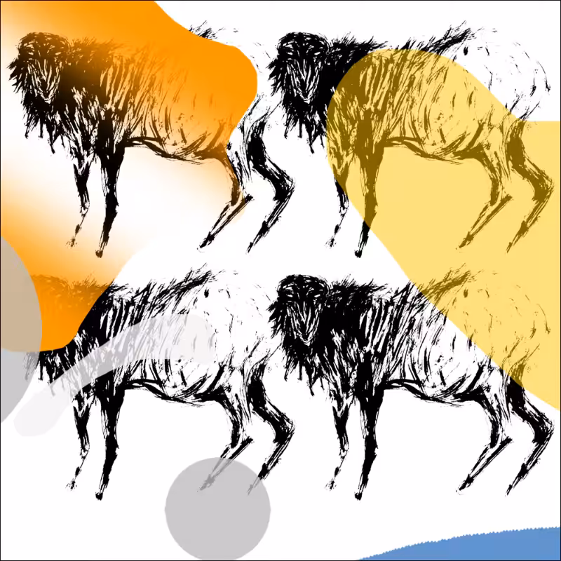 tHE sHEEP #16