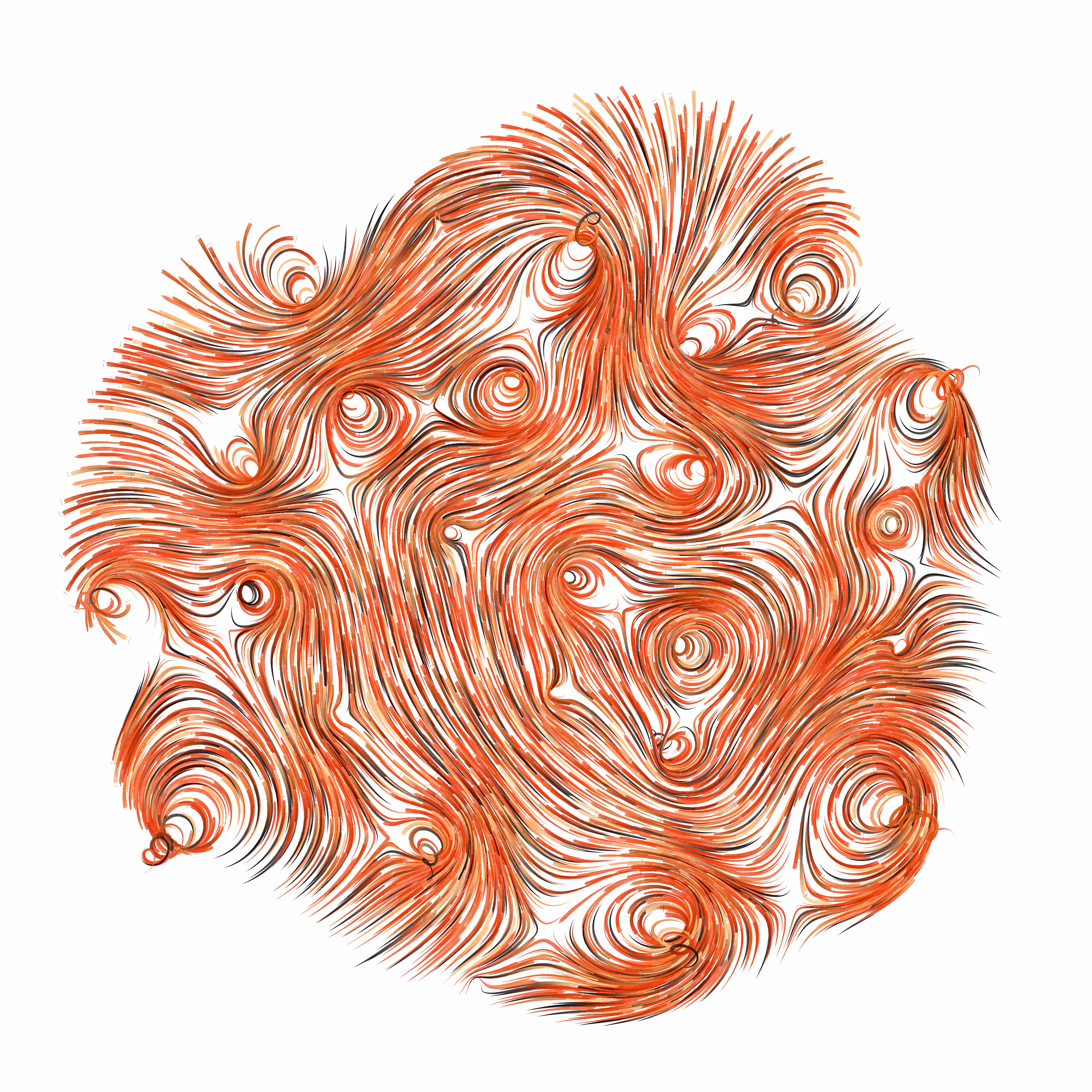 flow field #2
