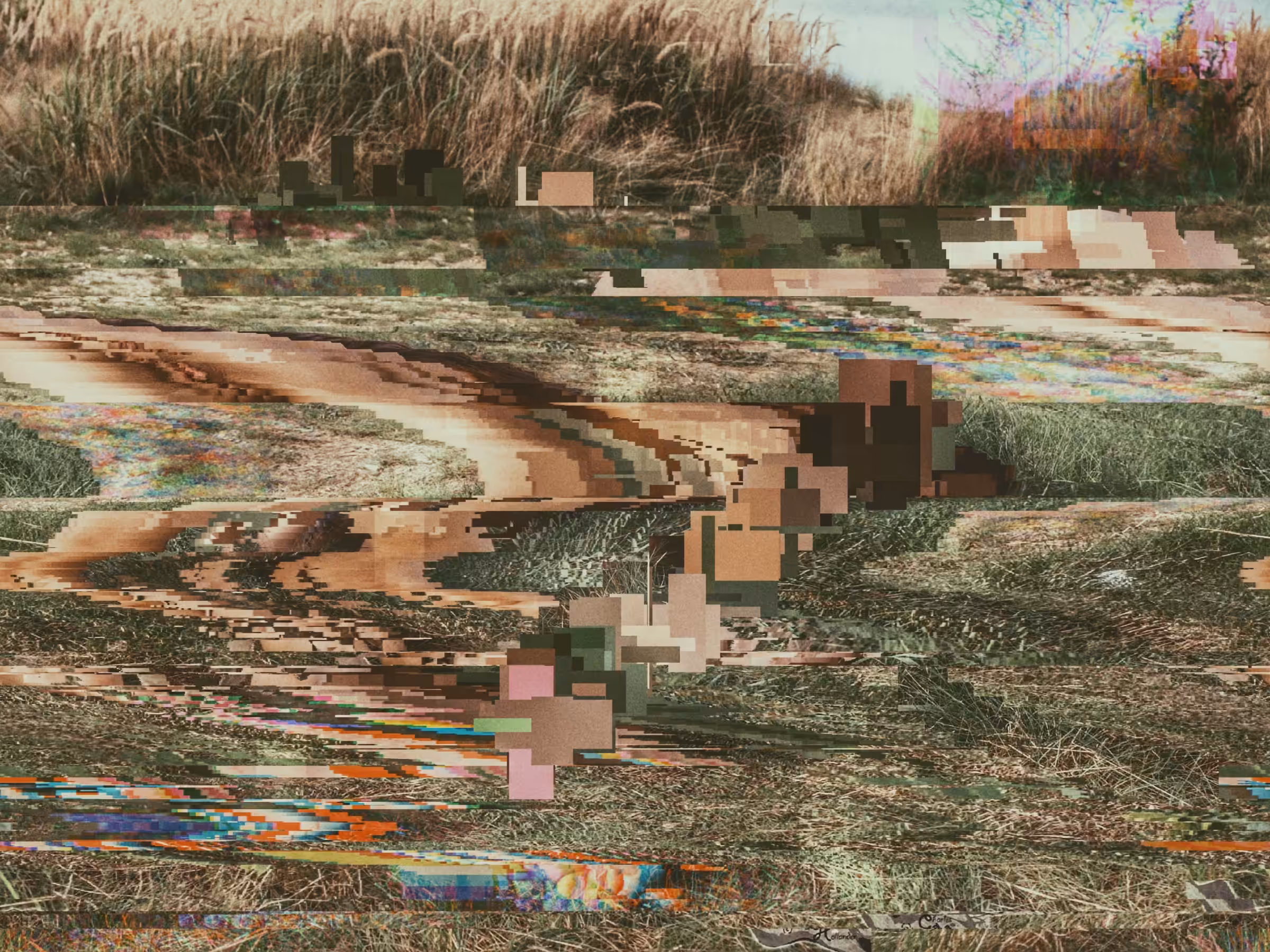Presence Error