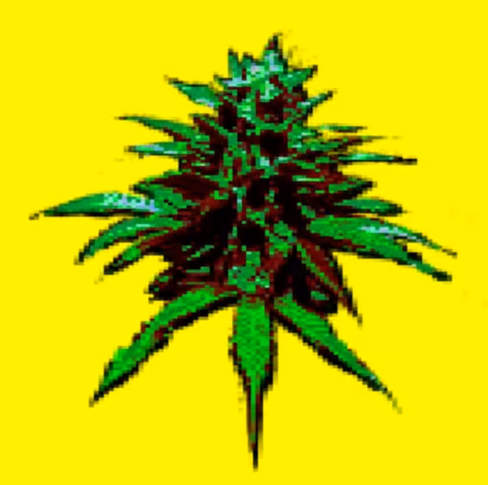 The Graph GreenSKUNK -059