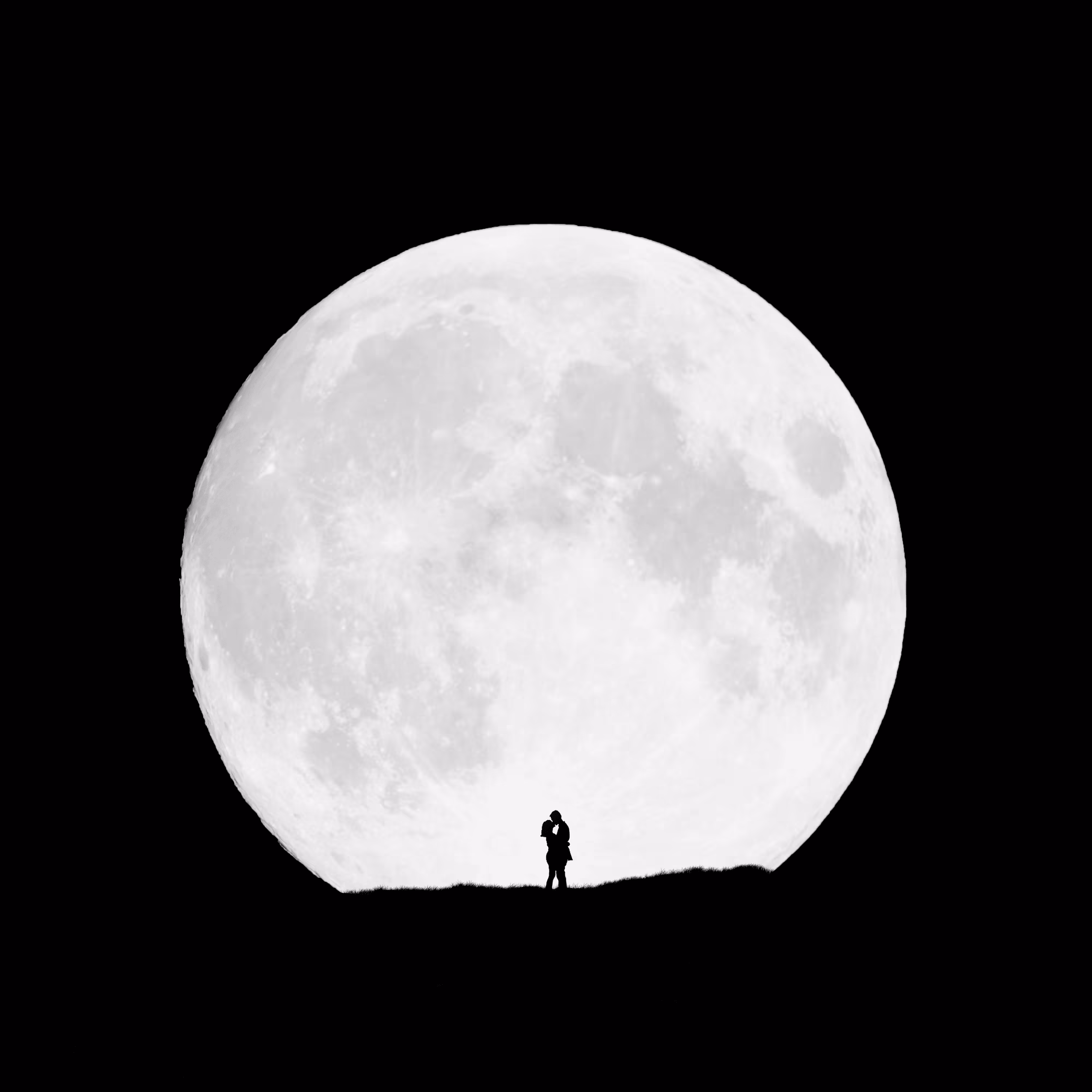editions: Love in The Moonlight